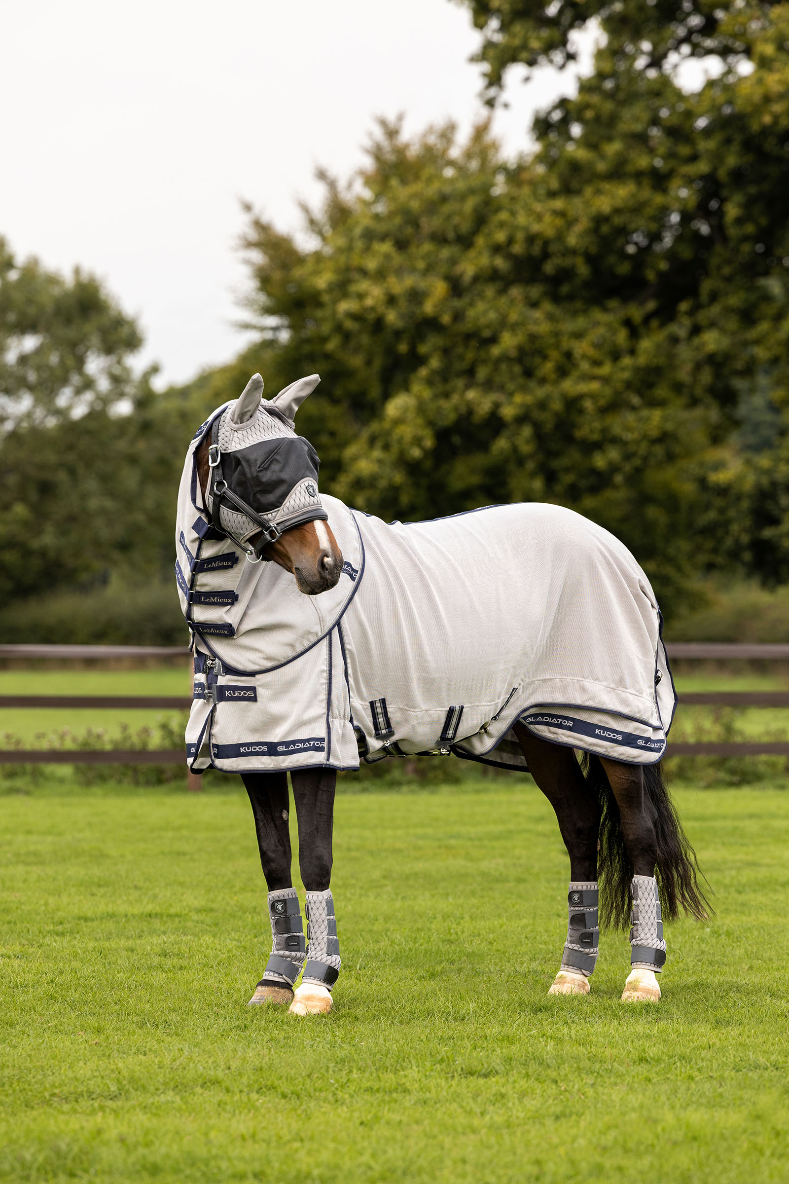 LeMieux Kudos Gladiator Fly Rug