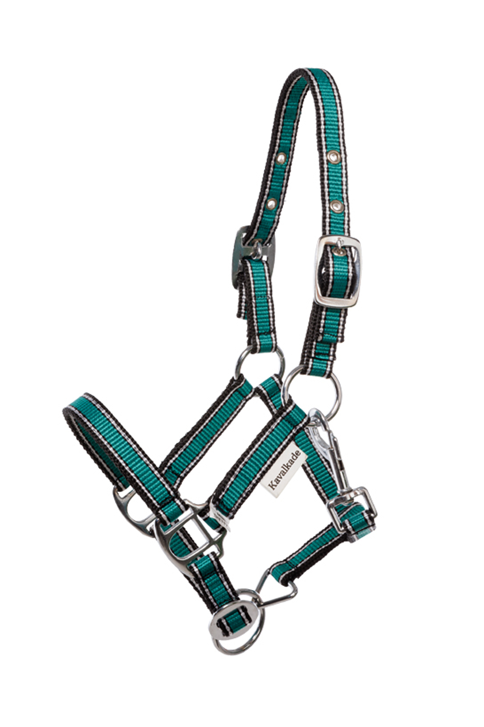 petrol/black-silver Kavalkade Shorty Shetty Halter