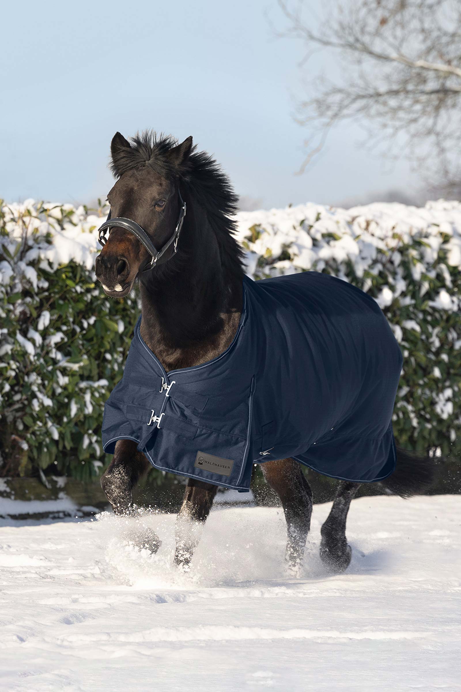 Waldhausen Nordic Turnout Rug, 200 g