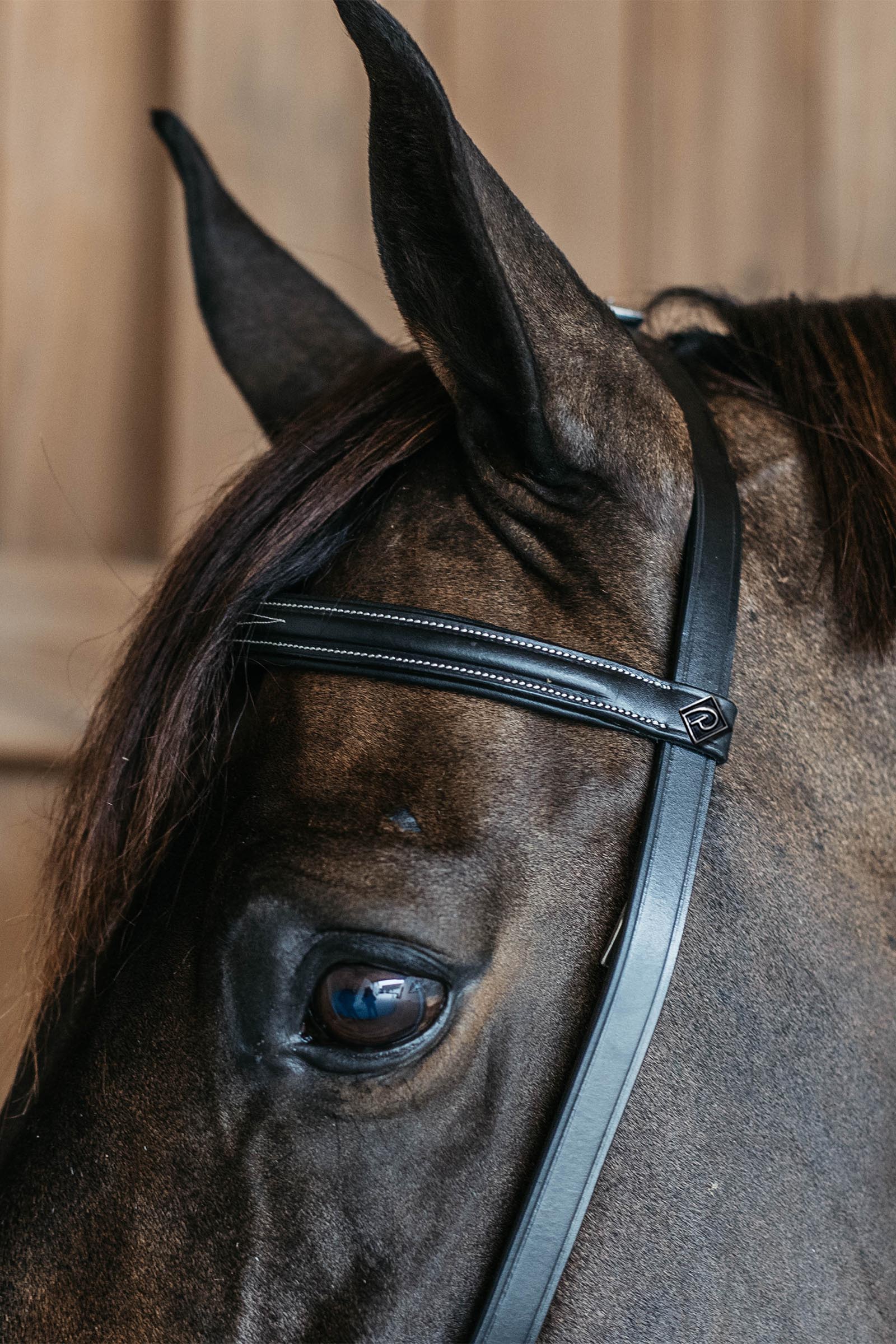 Dy'on  Working Training Bridle
