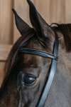 Dy'on  Working Training Bridle