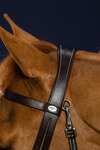 Dy'on Working Flat Leather Bridle With Snap Hooks 