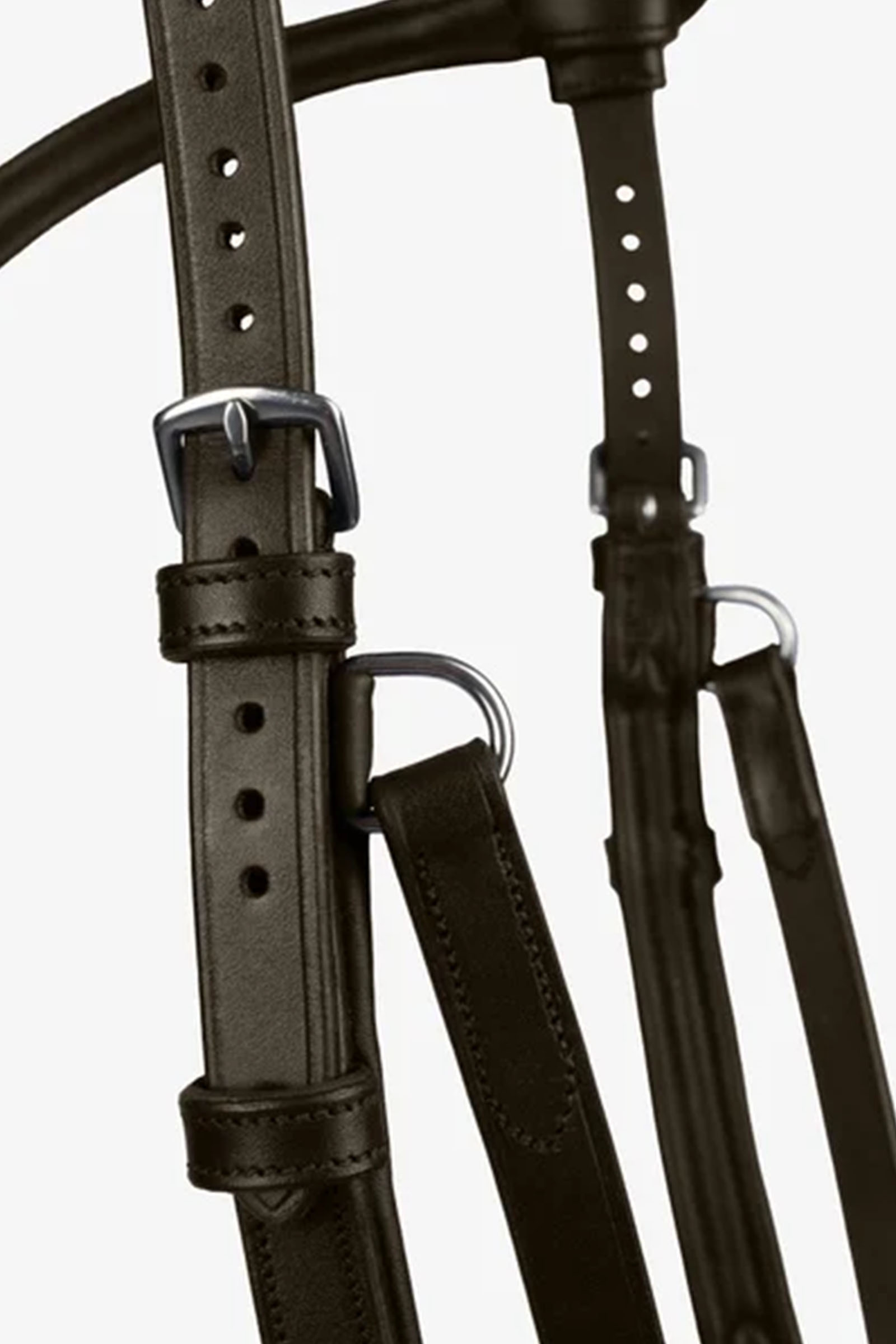 PS of Sweden Bridle King Edward