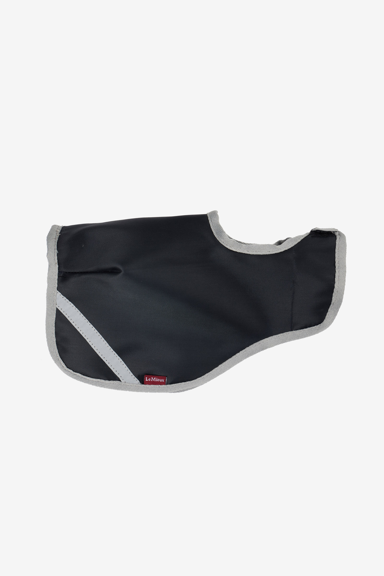 LeMieux Toy Pony Exercise Sheet