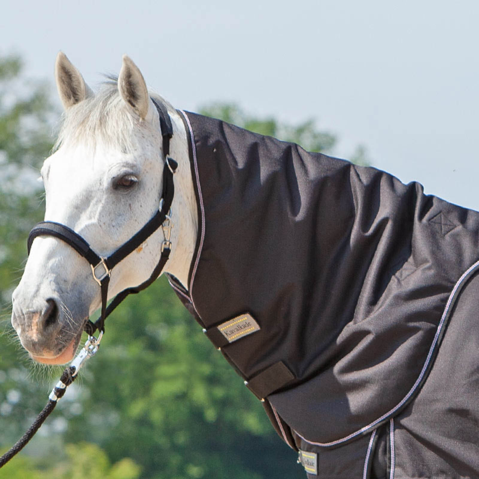 Kavalkade Neck for Alaska IV, 100 g