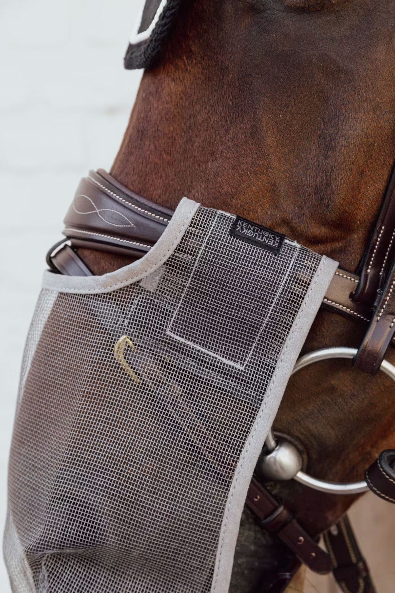 Kentucky Horsewear Anti fly nose net