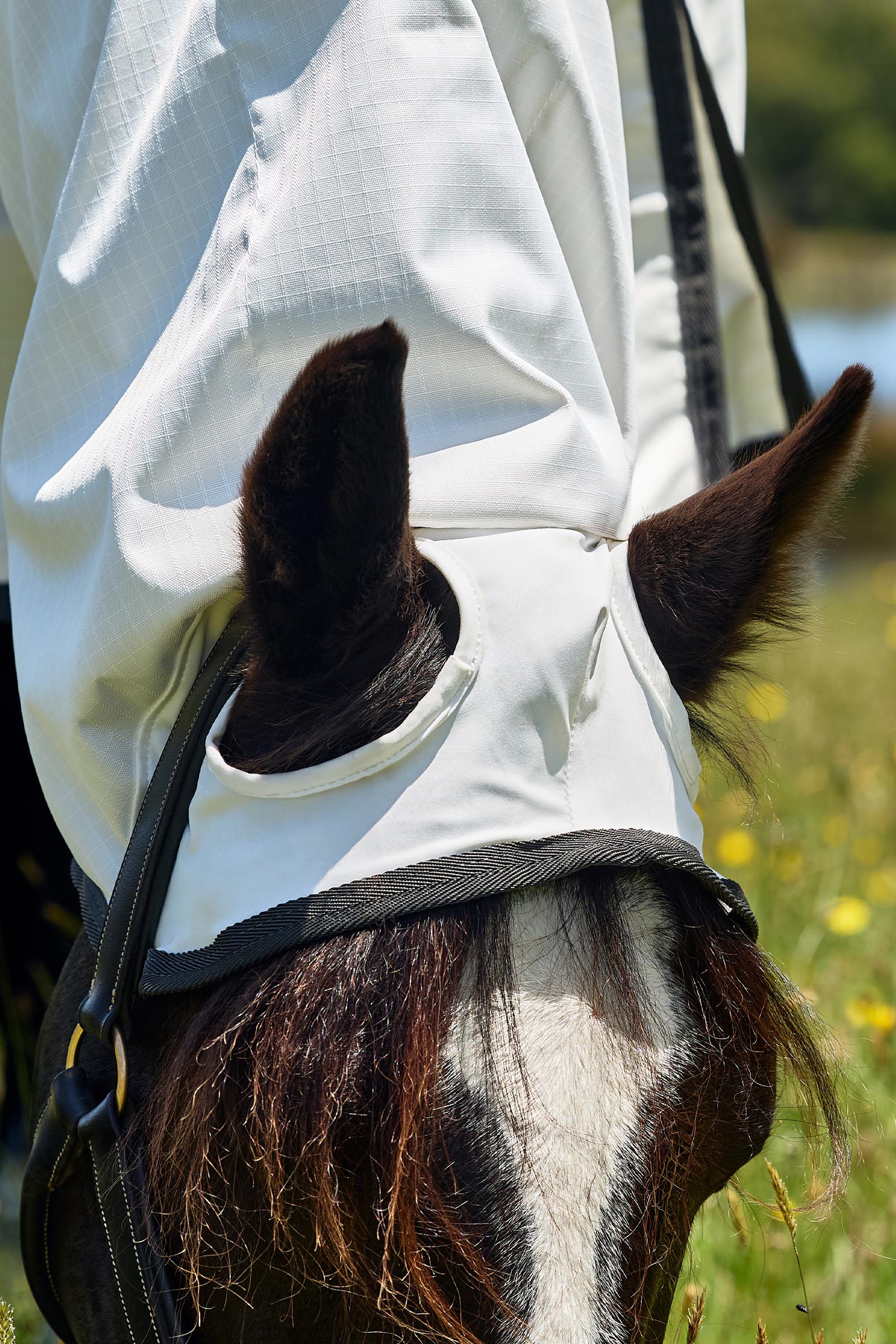 Weatherbeeta Comfitec Sweet Itch Shield Fly Sheet Combo W. Fixed Neck, 0g