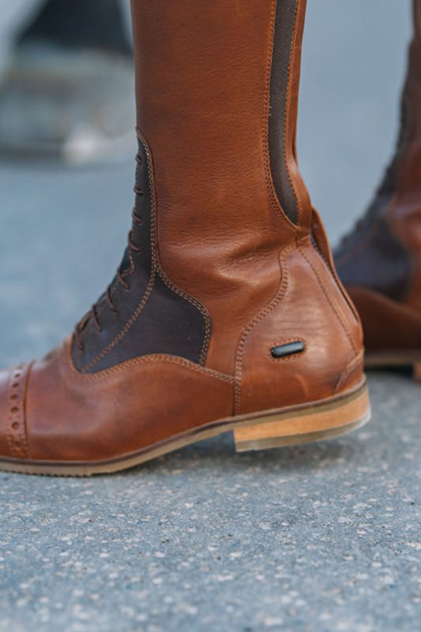 Suedwind Footwear Florentina Tall Riding Boots