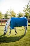 Horseware Ionic Therapy Turnout Rug, 100g