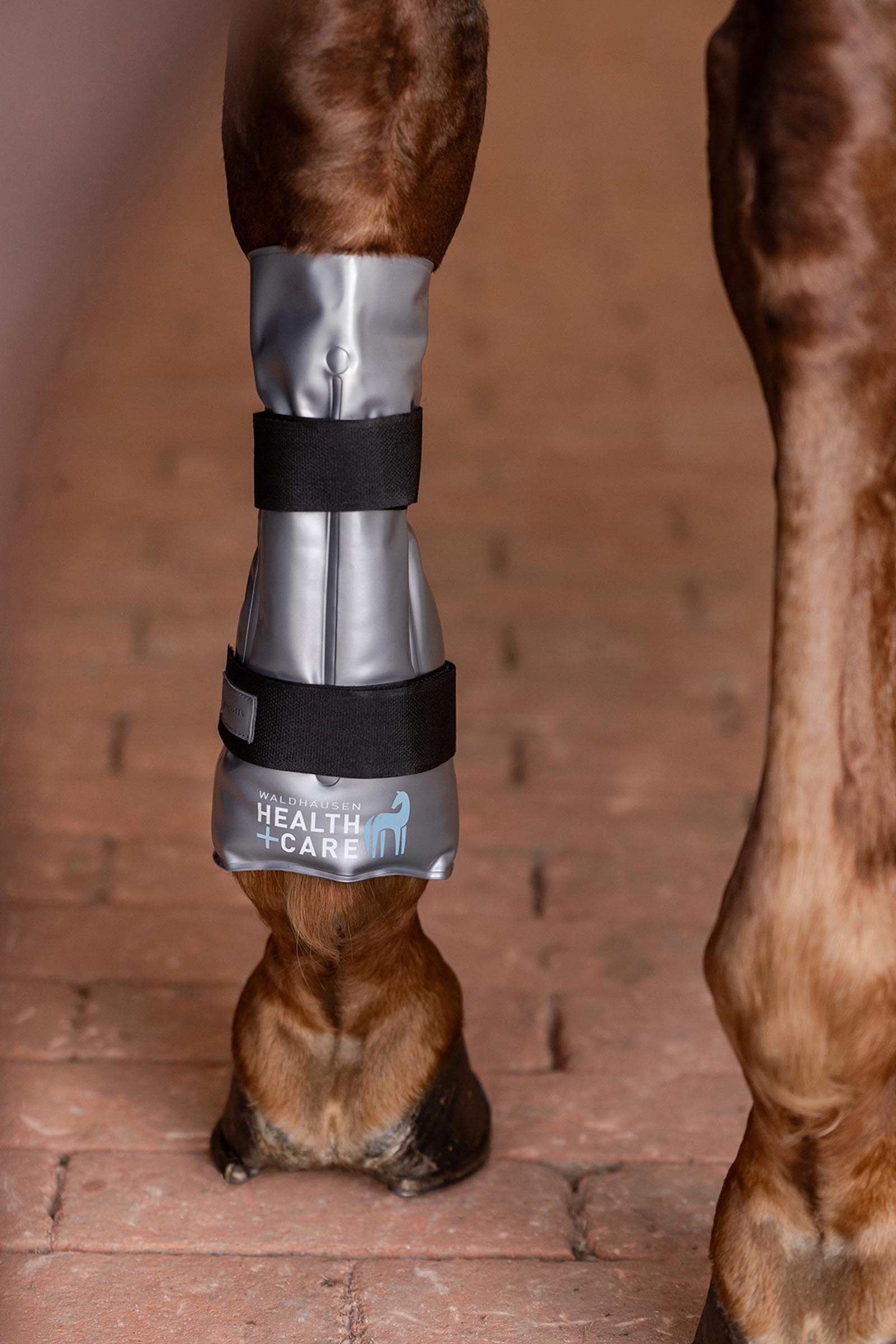 Waldhausen Cooling or Warming Tendon Boot Hot-Chilly Leg