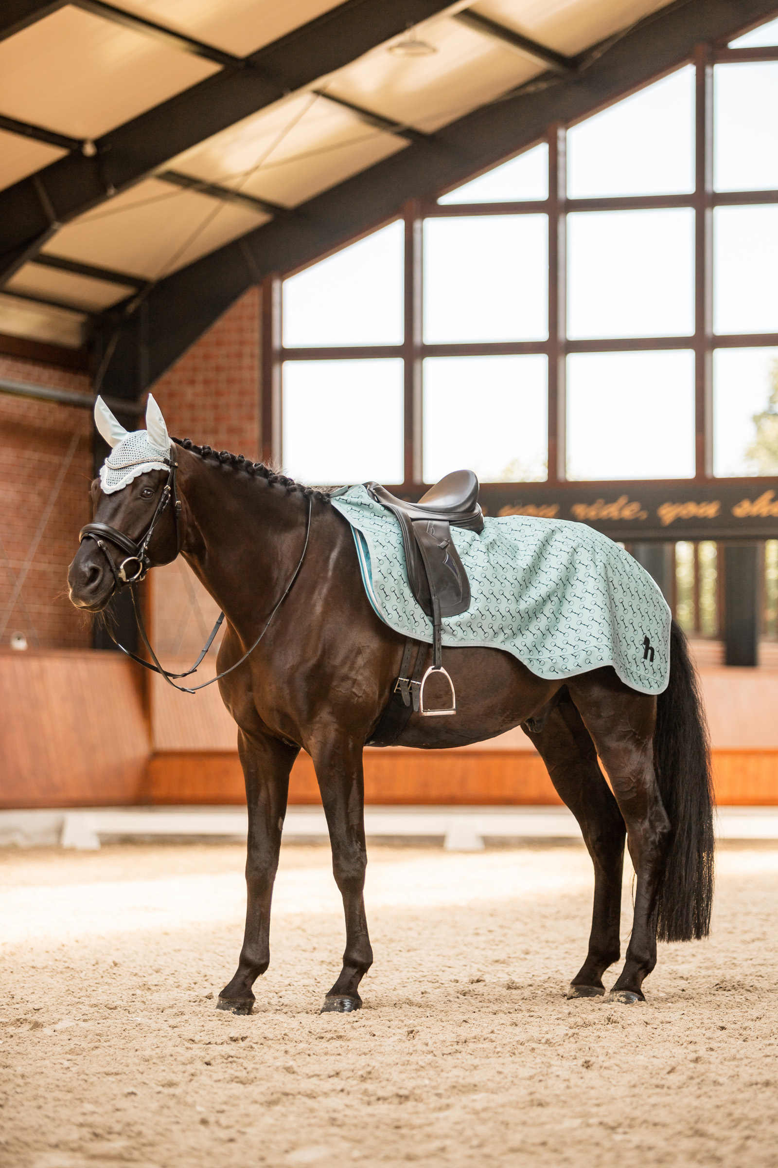 Horze Avalanche Riding Rug, 150g
