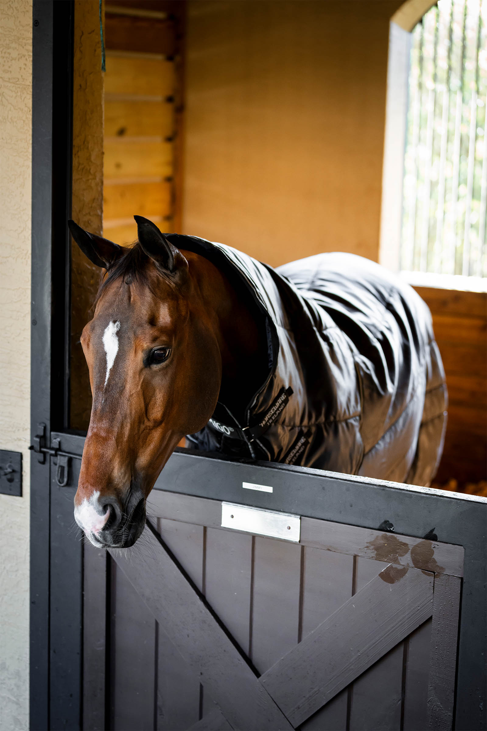 Horseware Amigo Ripstop Insulator Plus Stable Rug, 200 g