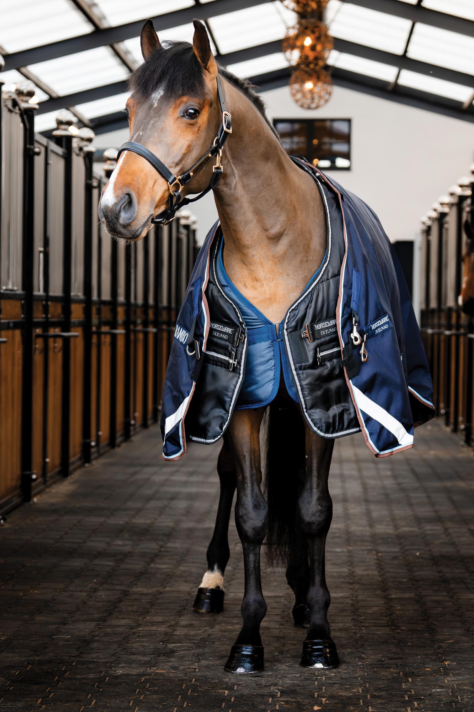 Horseware Easy-Layer Stablerug 100g