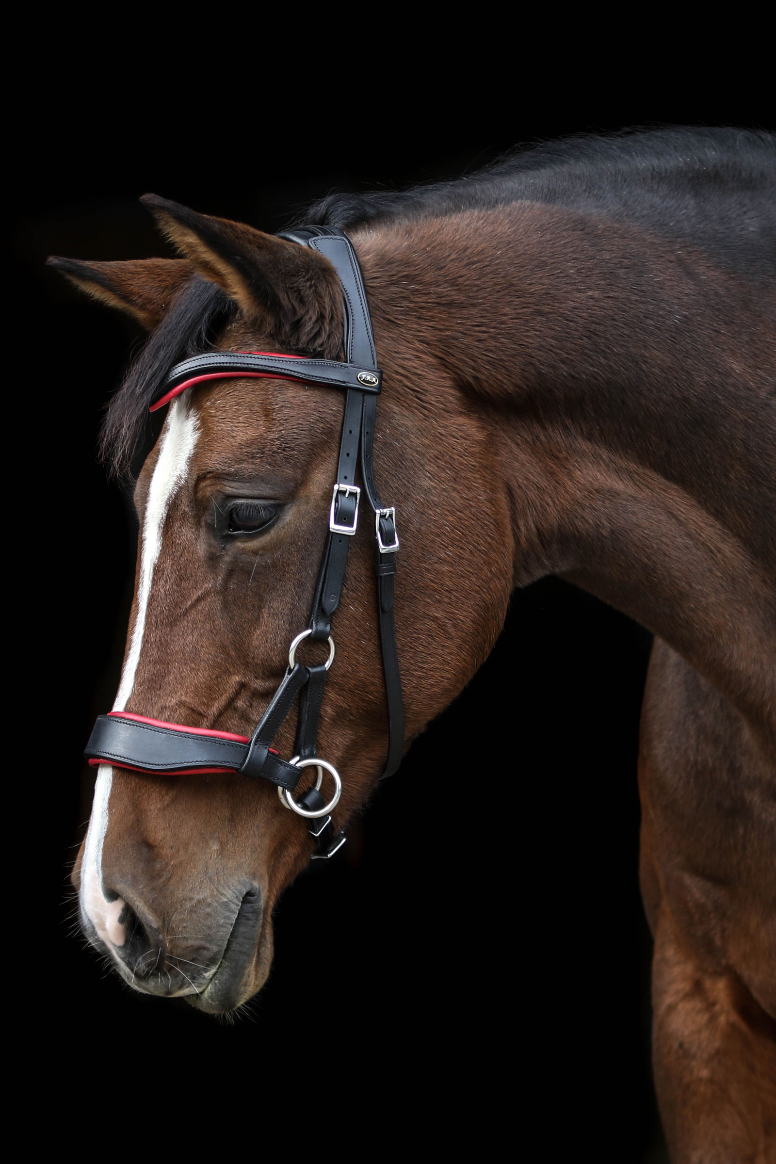 F.R.A. Freedom Riding Articles Aruba Bitless Bridle With Reins (System 3)
