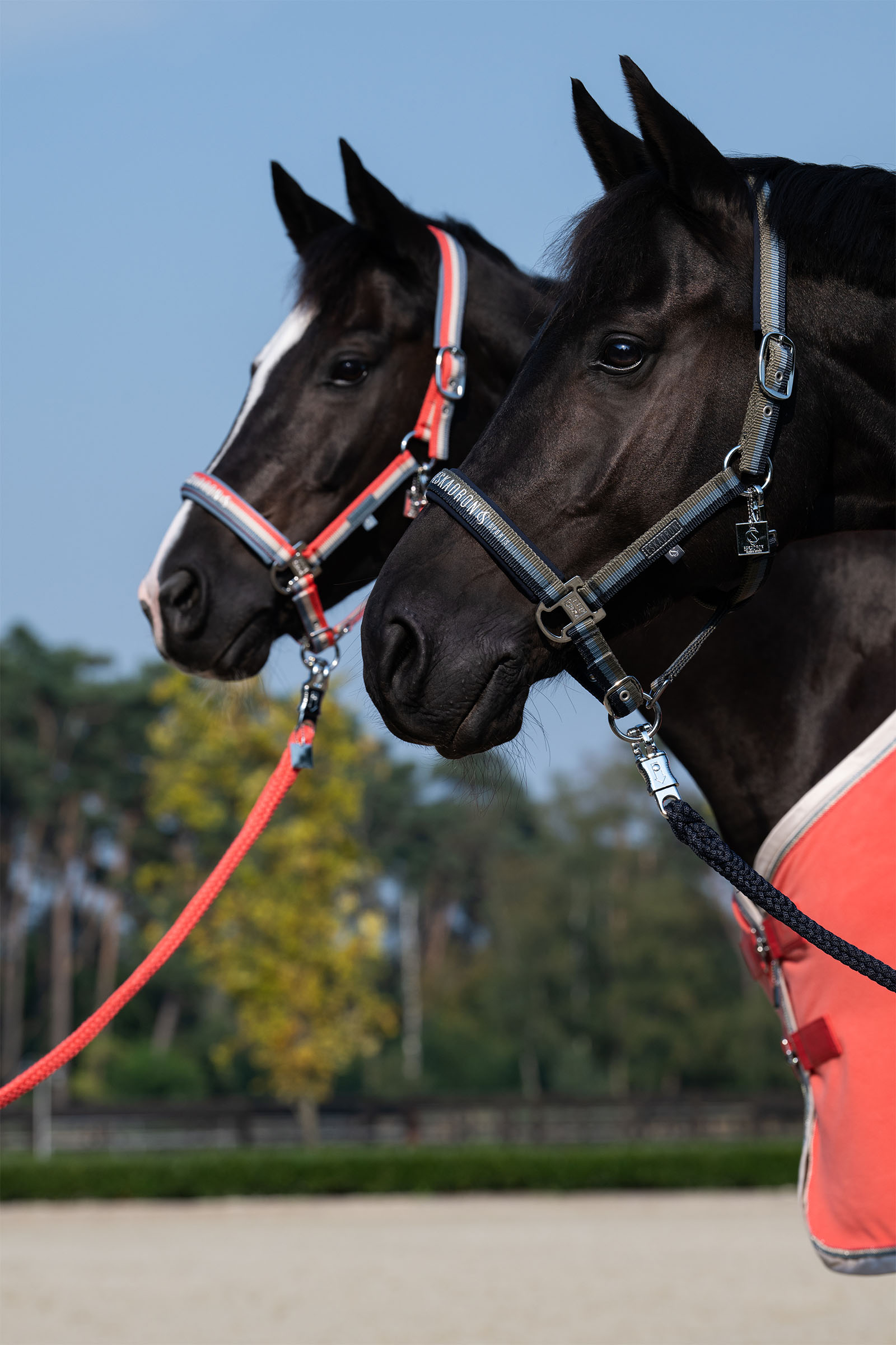 Eskadron Classic Sports SS25 Double Pin Headcollar