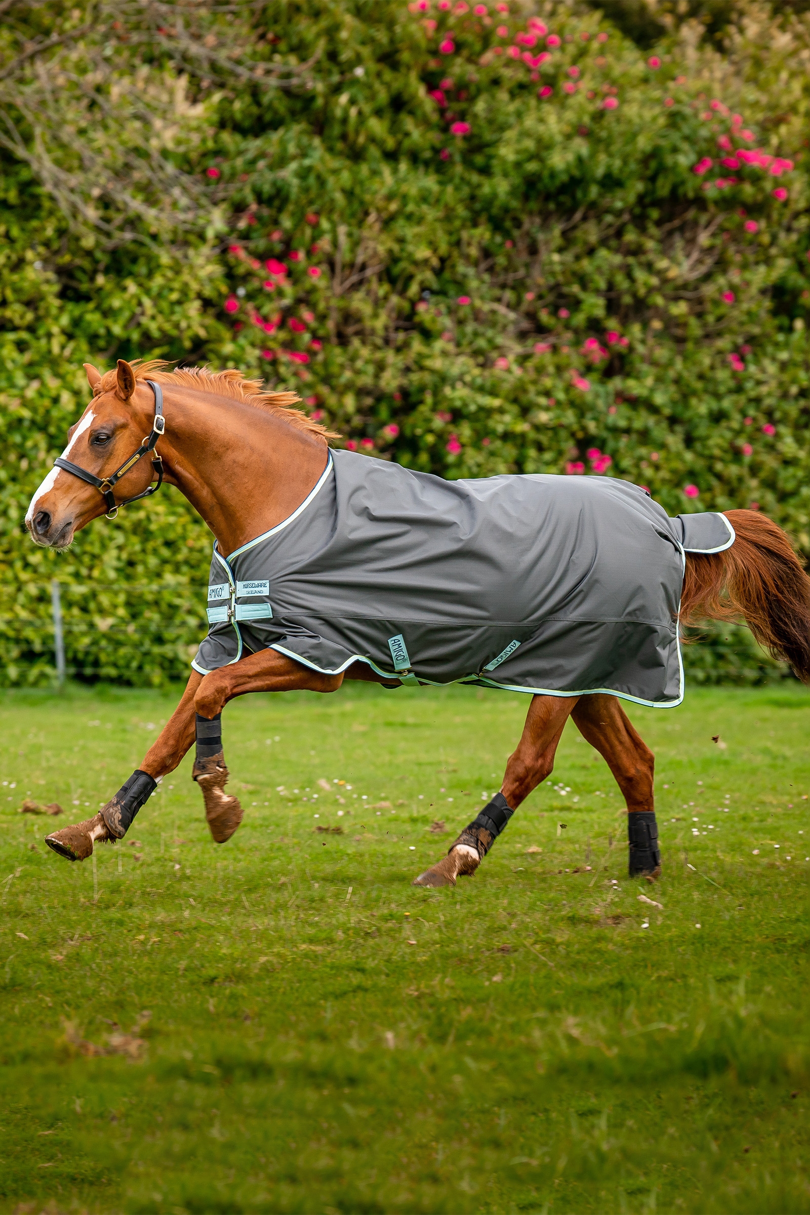 Horseware Amigo Hero Ripstop Turnout Rug With Fleece Lining, 50g
