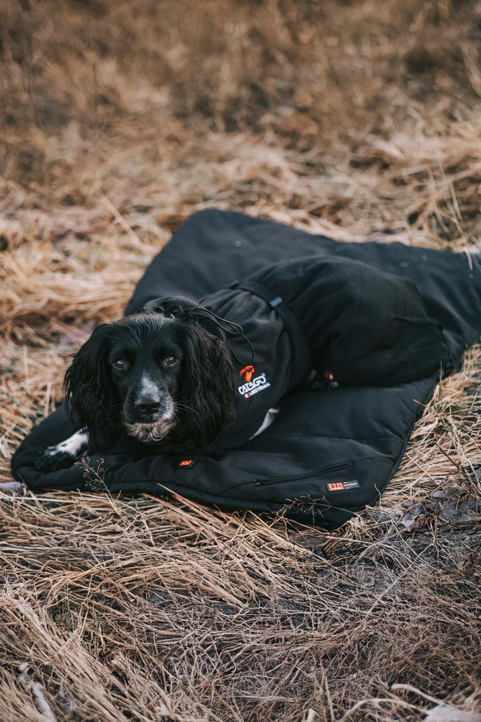 CATAGO FIR-Tech Pro Heatable Dog Pillow