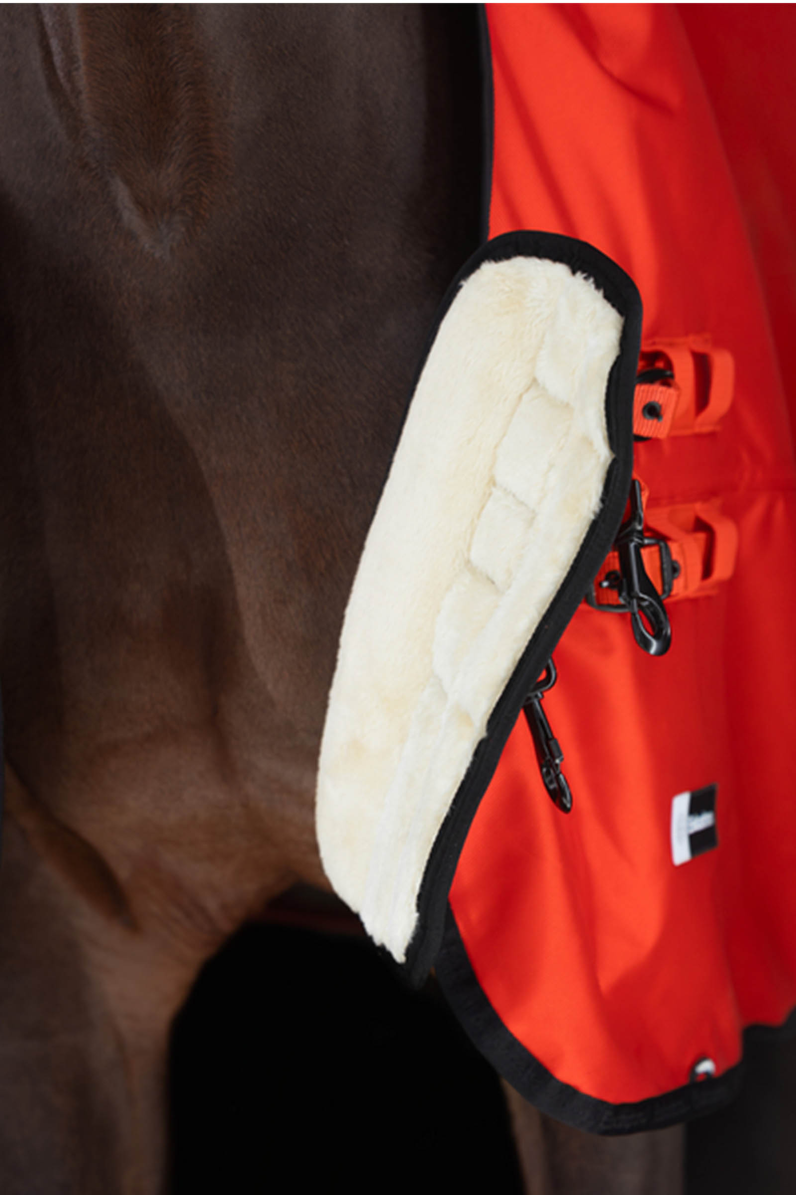 Eskadron Dynamics AW25 Beta Turnout Rug, 50 g