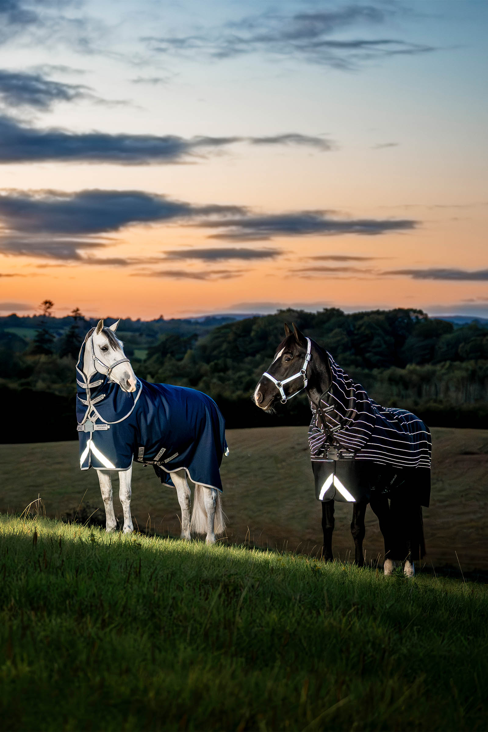 Horseware Amigo 1200D FieldSafe Plus Turnout Rug, 100 g