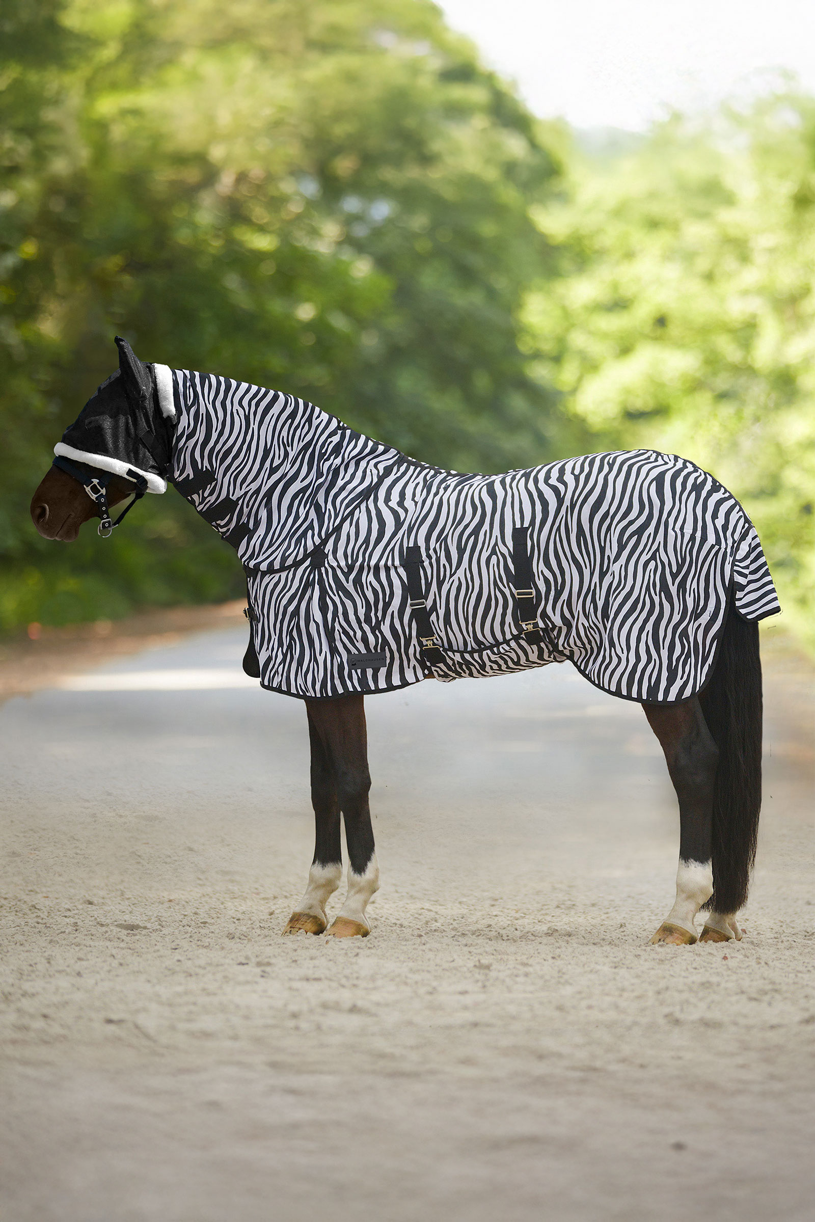 Waldhausen Zebra Fly Rug With Straight Surcingles