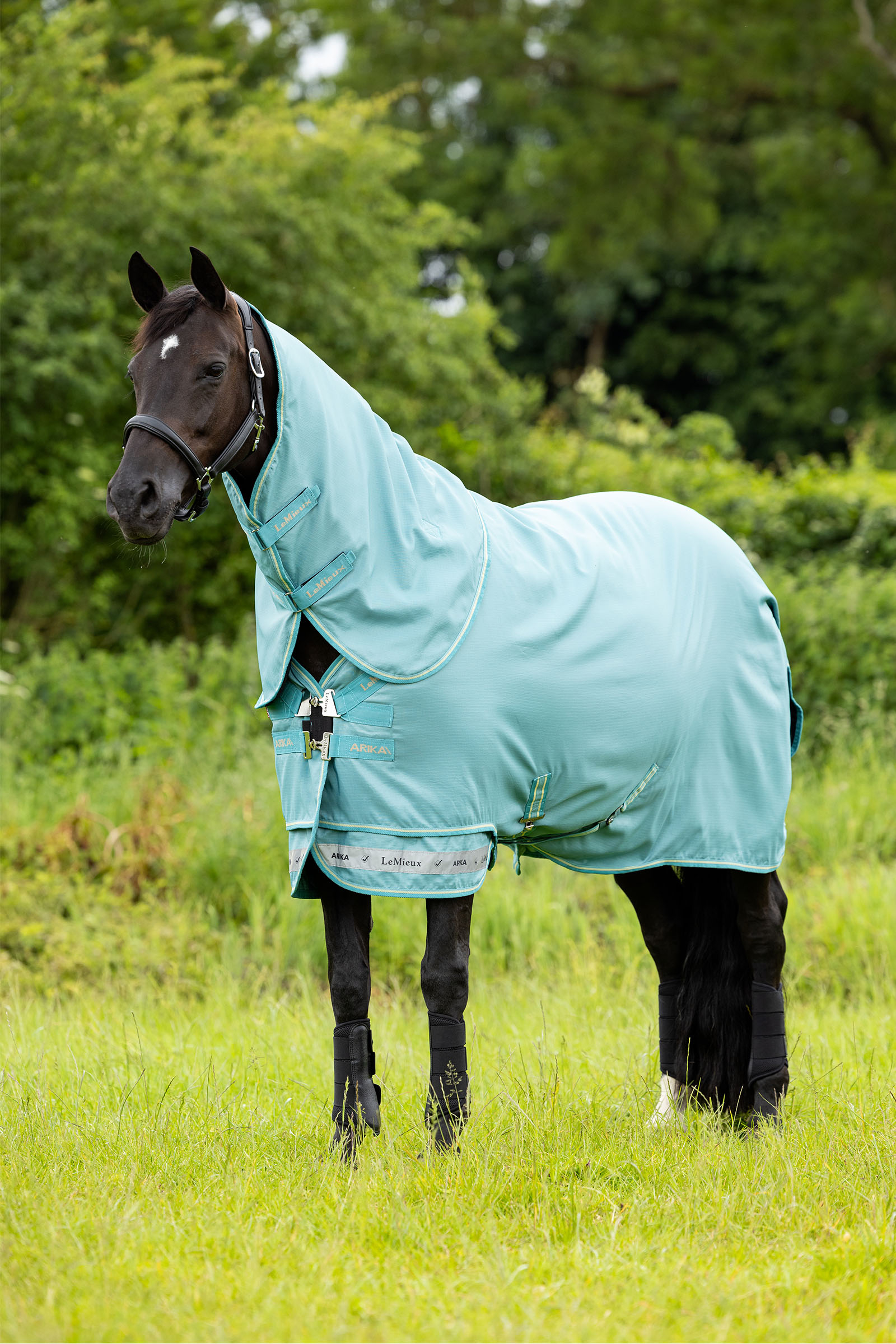 LeMieux Arika 600D Turnout Rug With Detachable Neck Part, 0g
