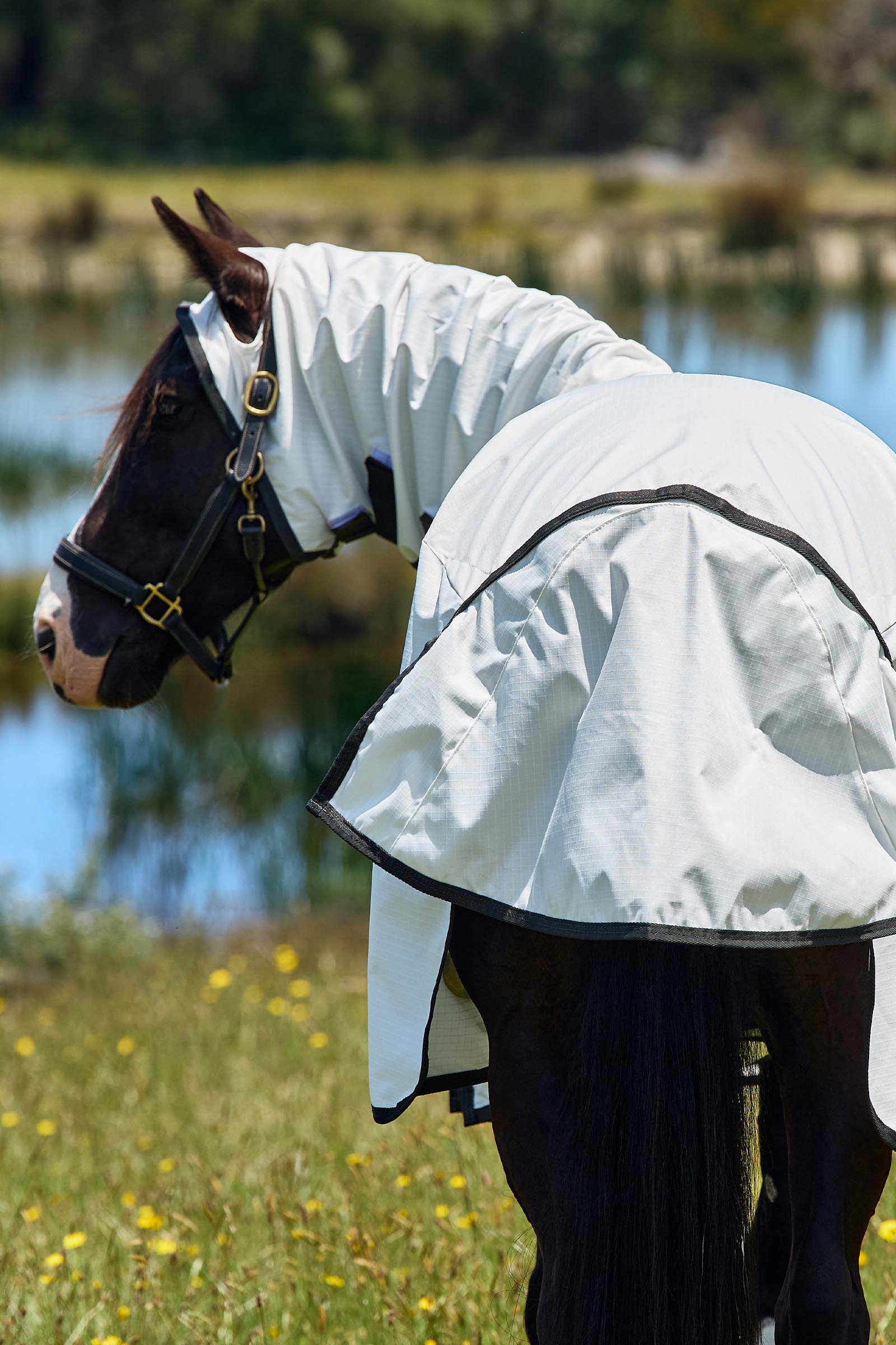 Weatherbeeta Comfitec Sweet Itch Shield Fly Sheet Combo W. Fixed Neck, 0g