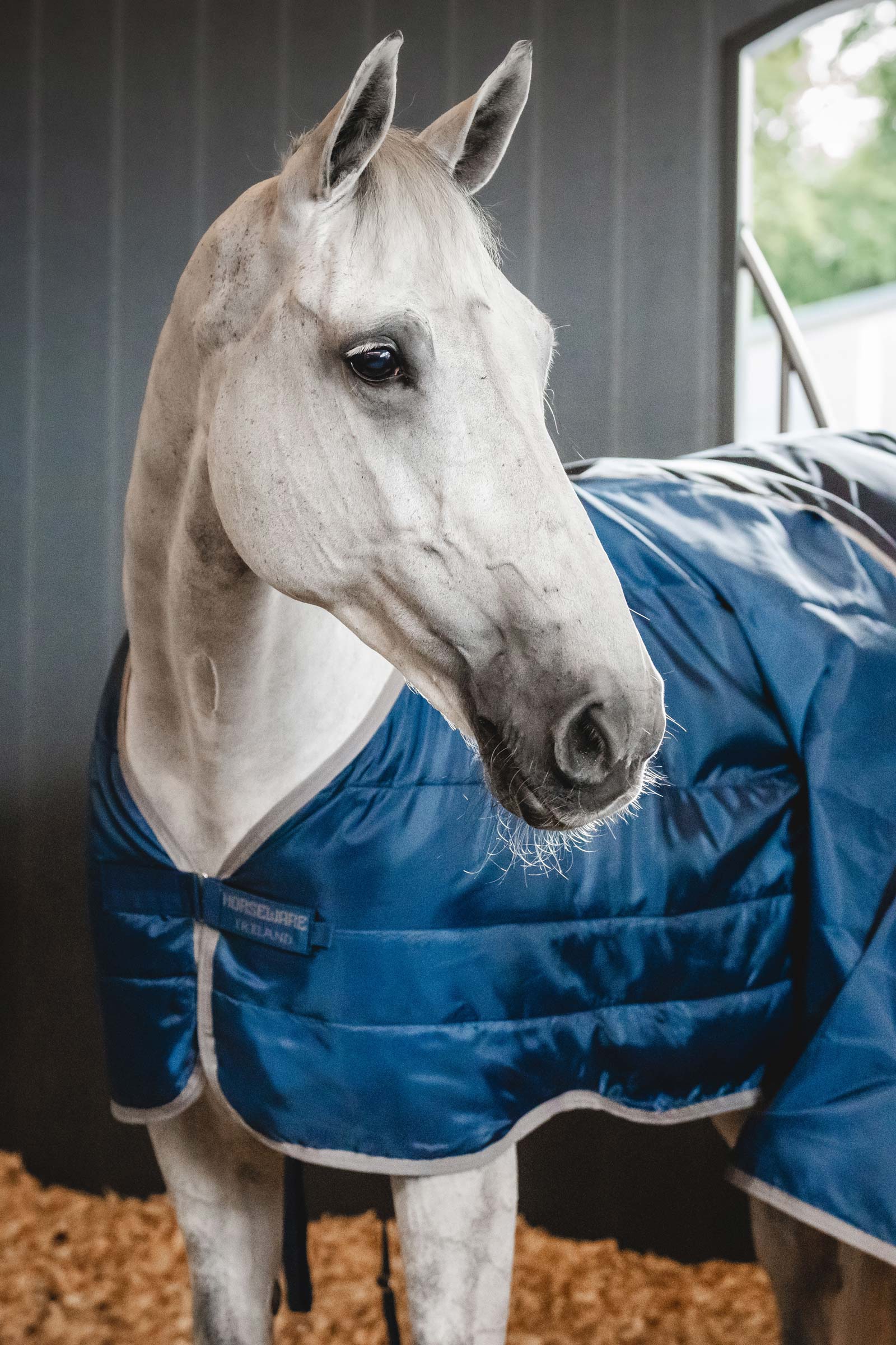 Horseware Ionic Therapy Liner 50g