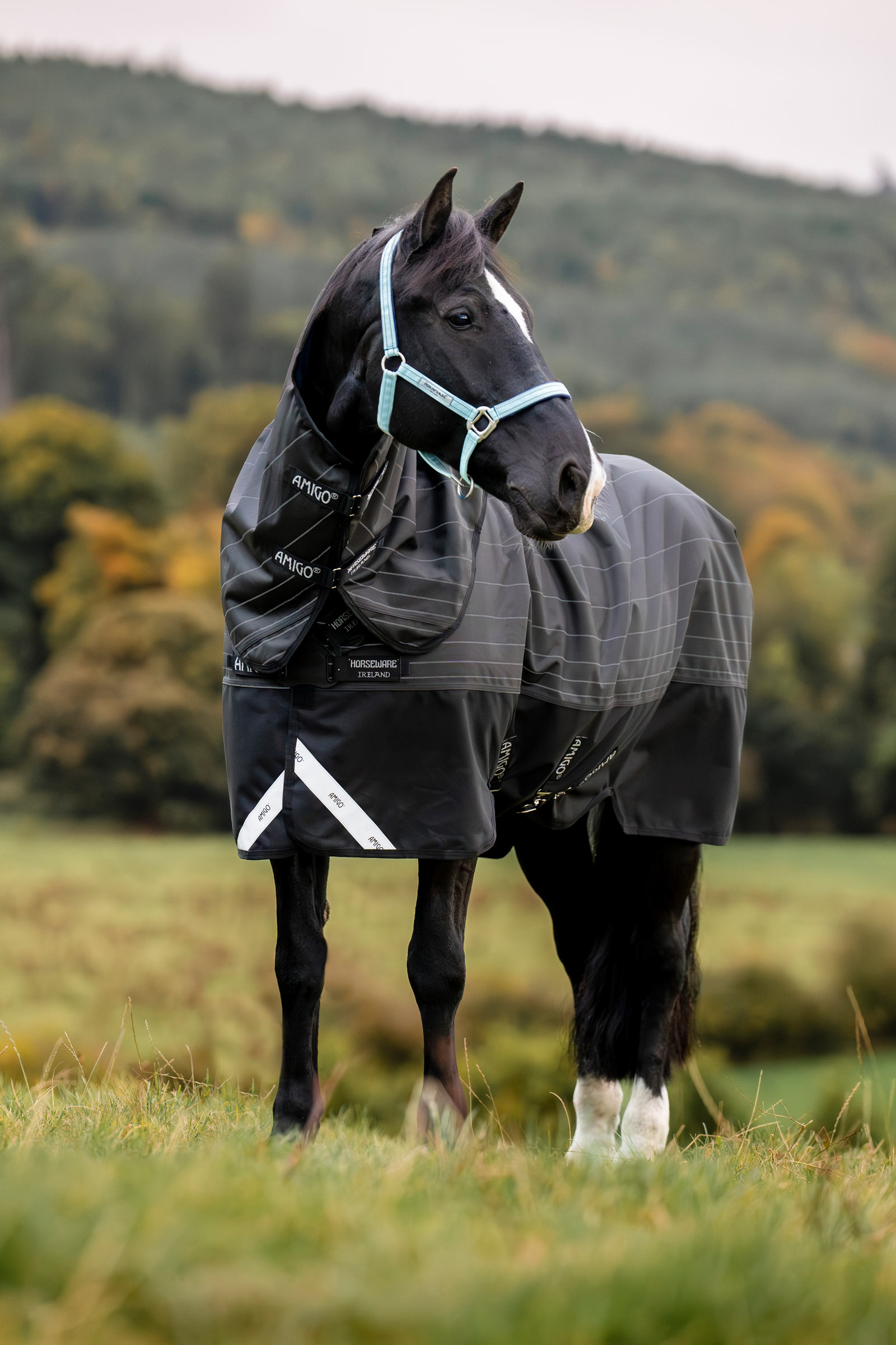 Horseware Amigo 1200D FieldSafe Reflectech Plus Turnout Rug, 250 g