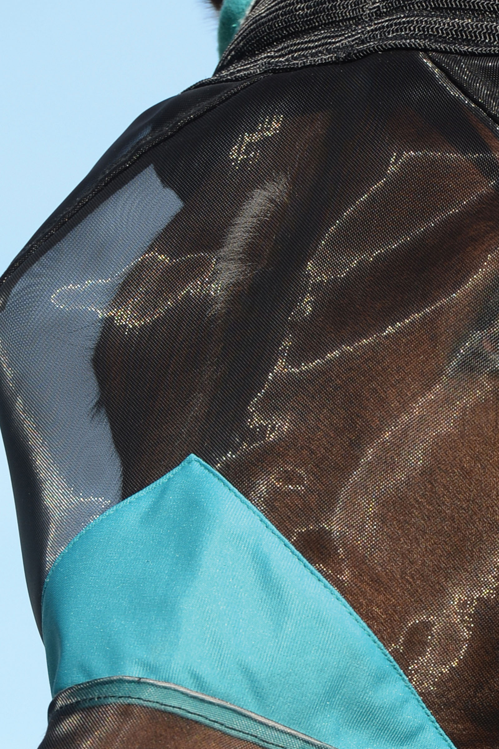 Weatherbeeta Comfitec Deluxe Fine Mesh Mask with Ears