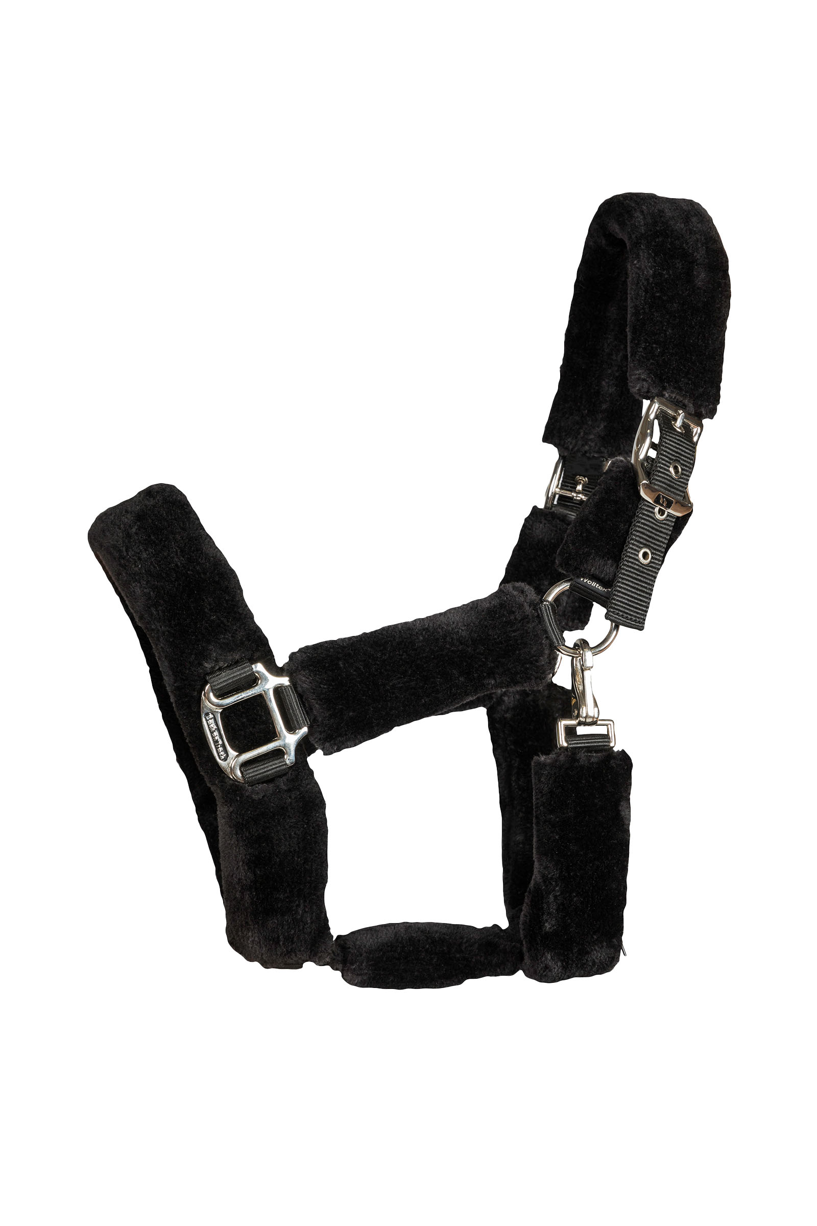 Back on Track Audrey Halter