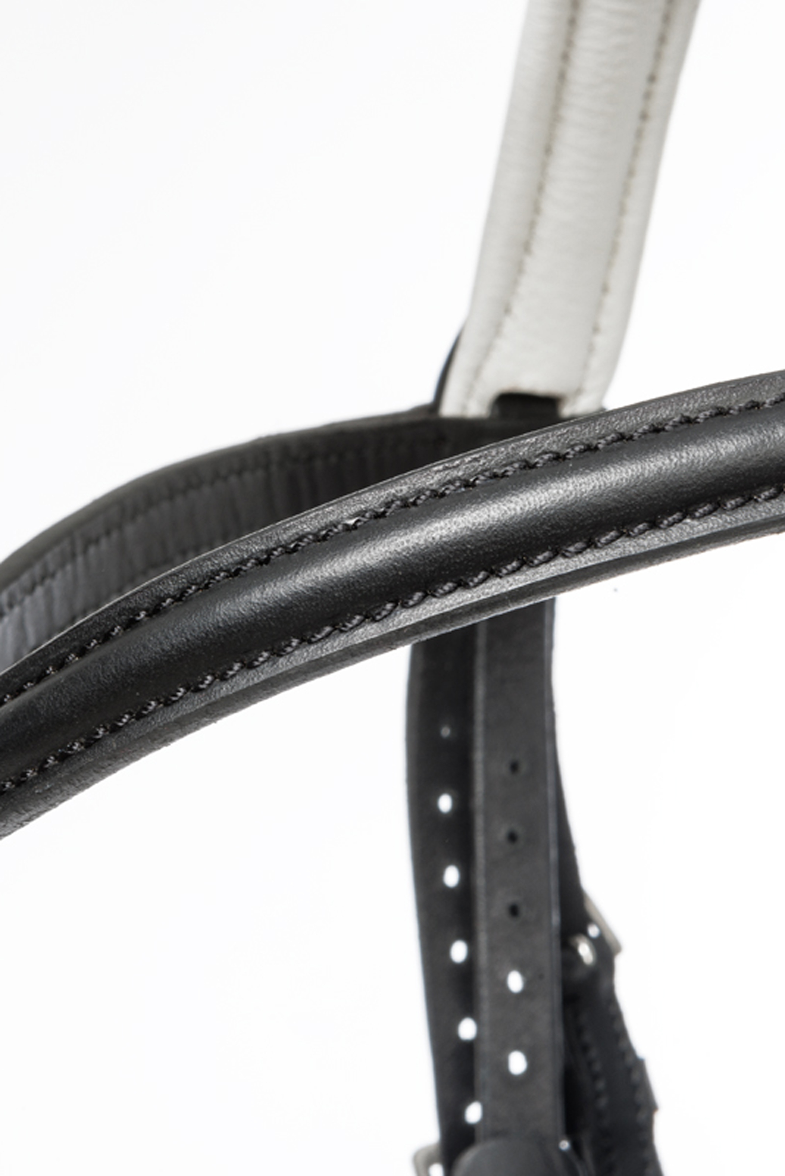 Kavalkade Bridle Quentin Ecoline, flash noseband