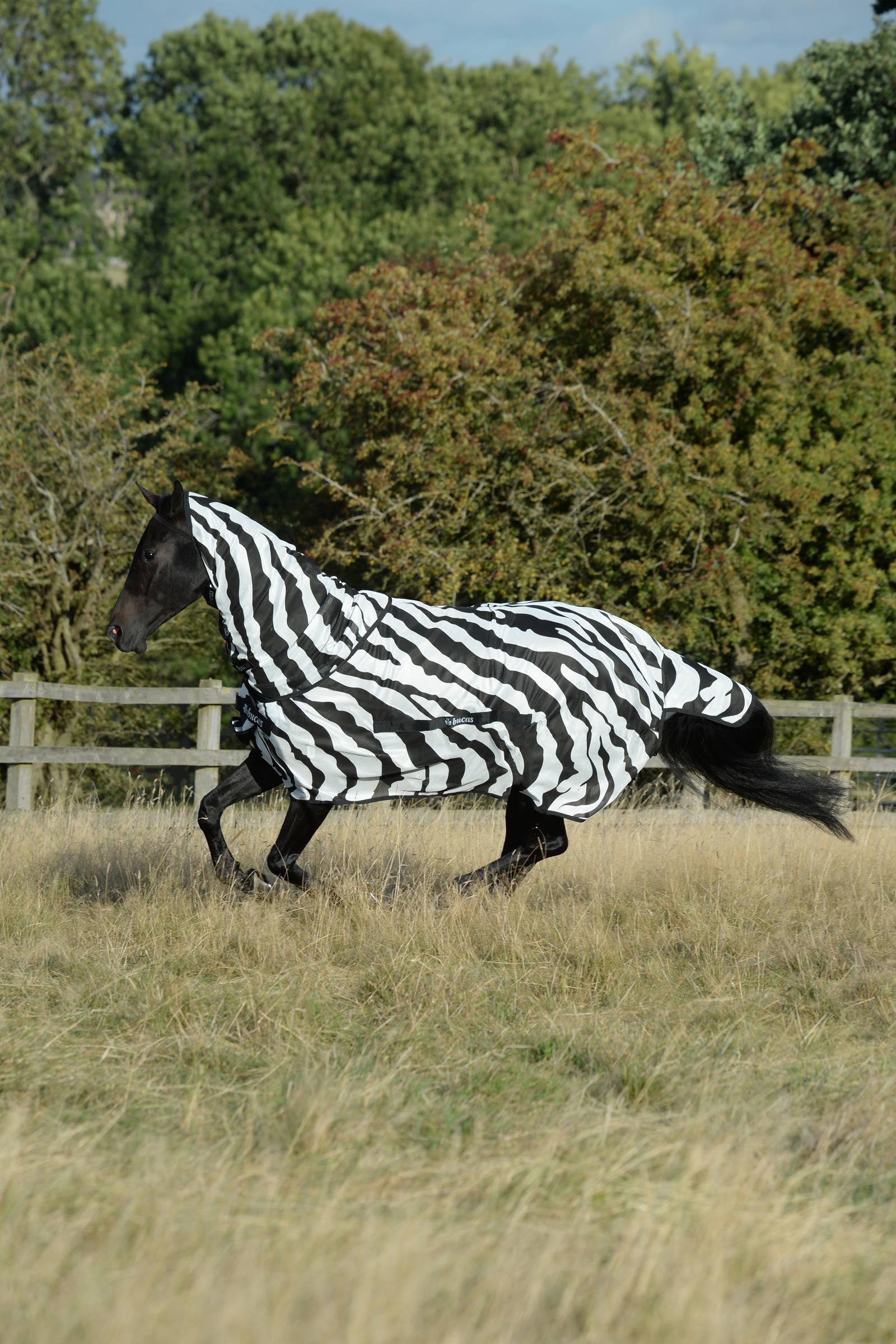 Bucas Buzz-Off Zebra Fly Rug with Detachable Full Neck