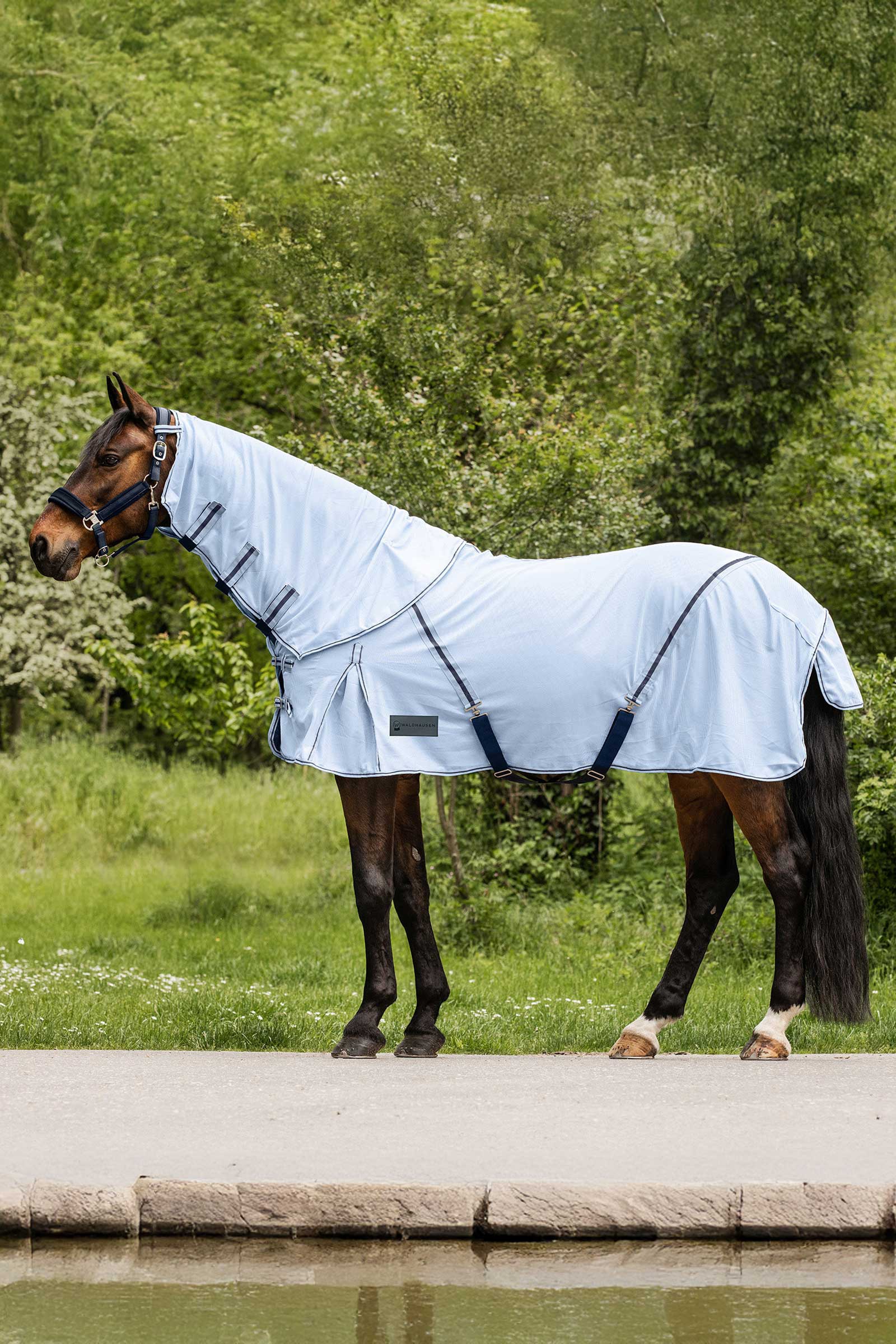 Waldhausen Protect Fly Rug With Detachable Neck