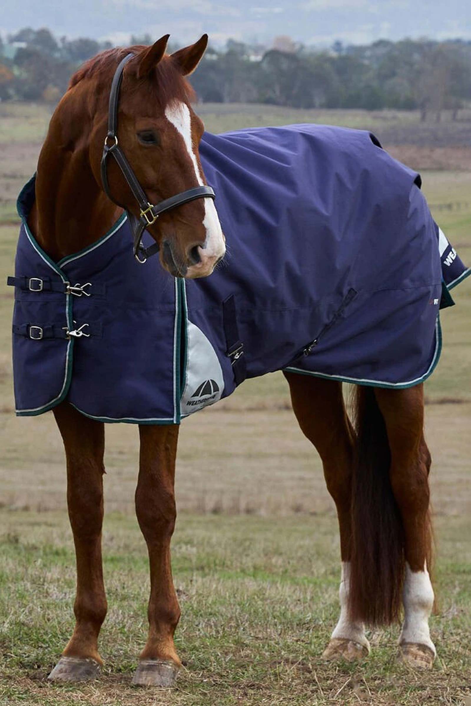 Weatherbeeta ComFiTecPlus Dynamic Turnout Rug, 0 g
