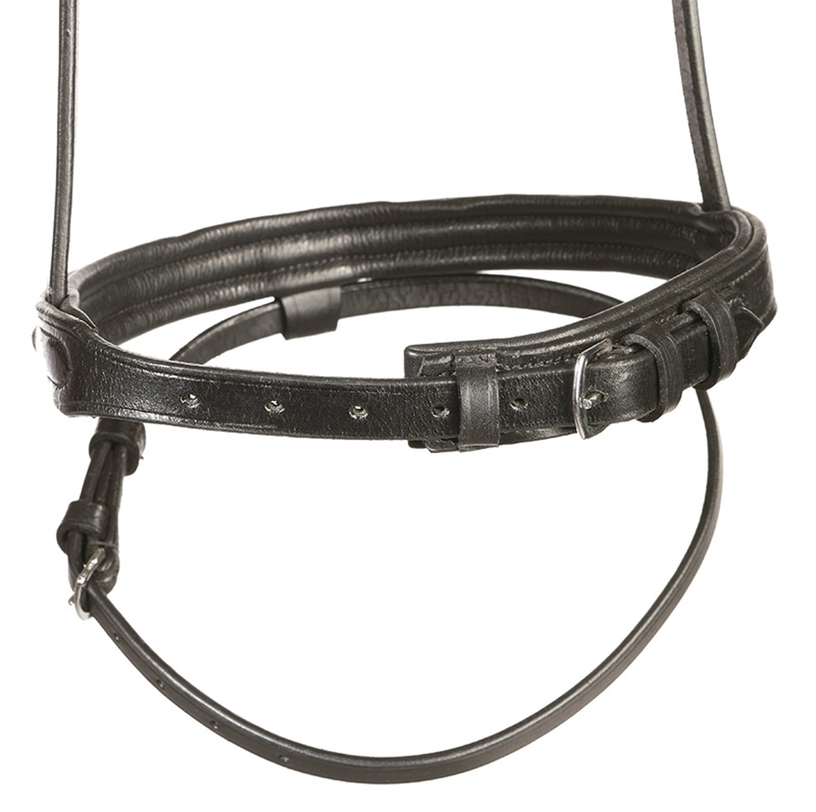 Kavalkade Flash noseband