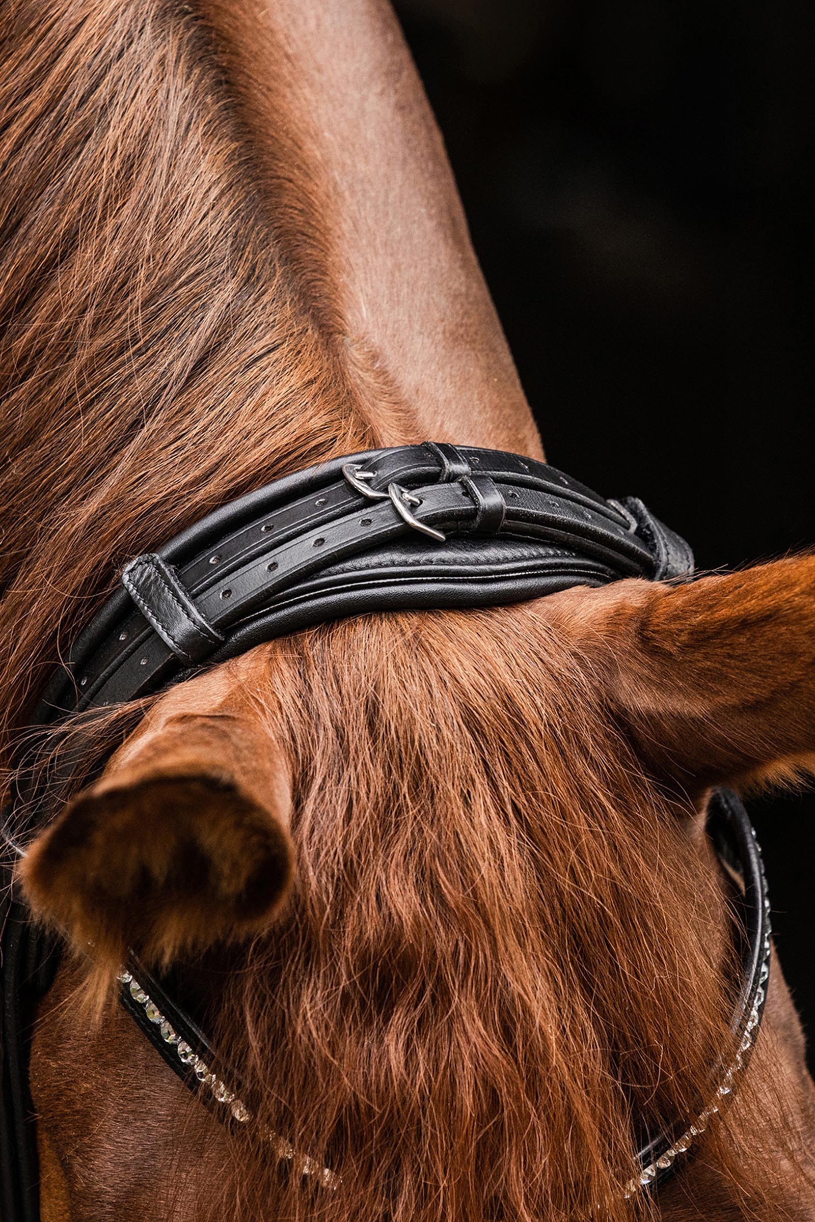 Waldhausen S-Line Bridle Magic