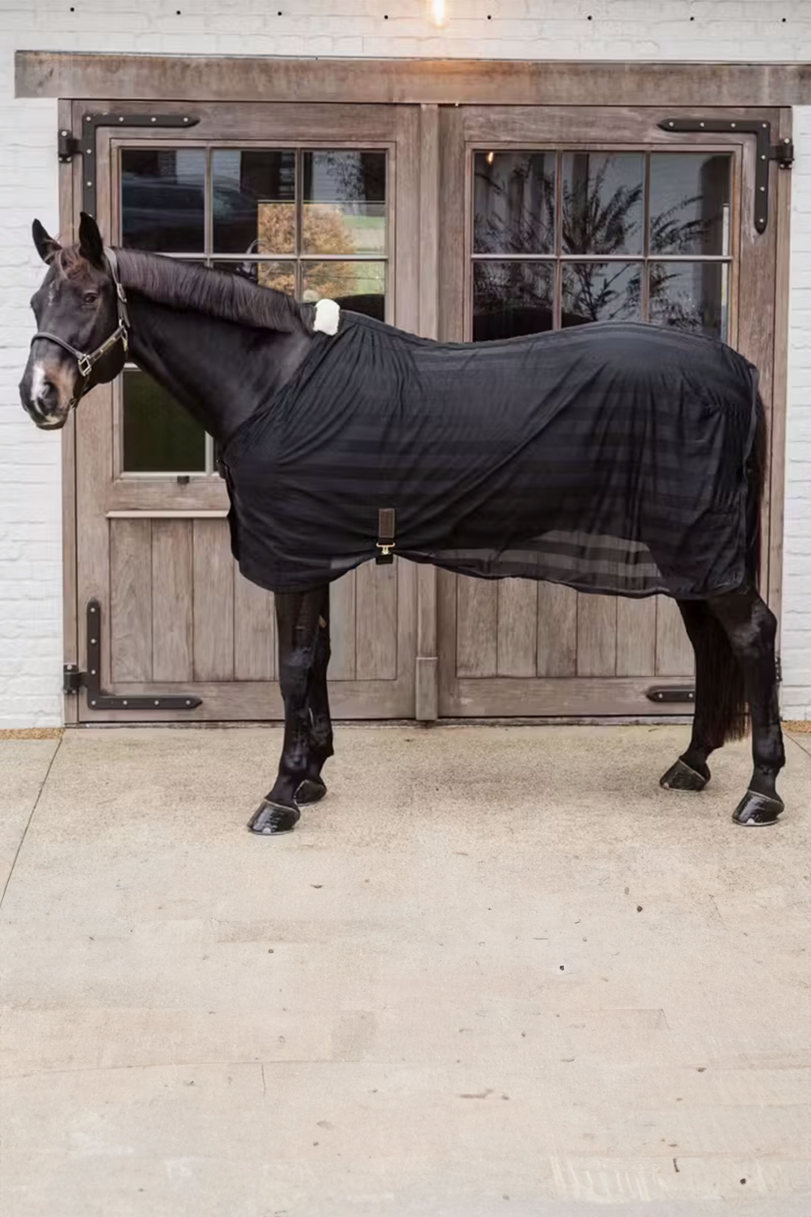 Kentucky Horsewear Light striped Mesh fly sheet