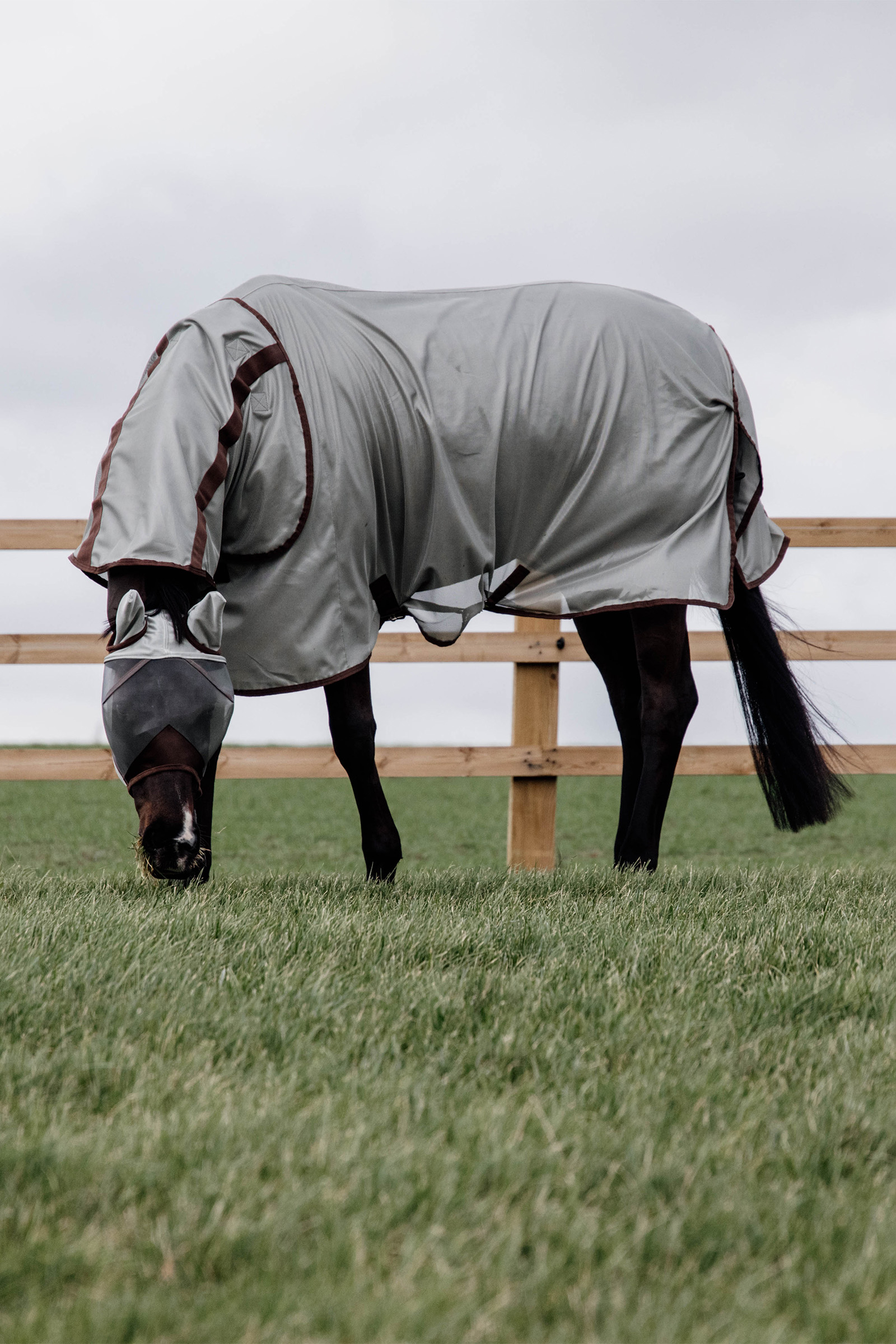 Kentucky Horsewear Classic Mesh Fly Rug 