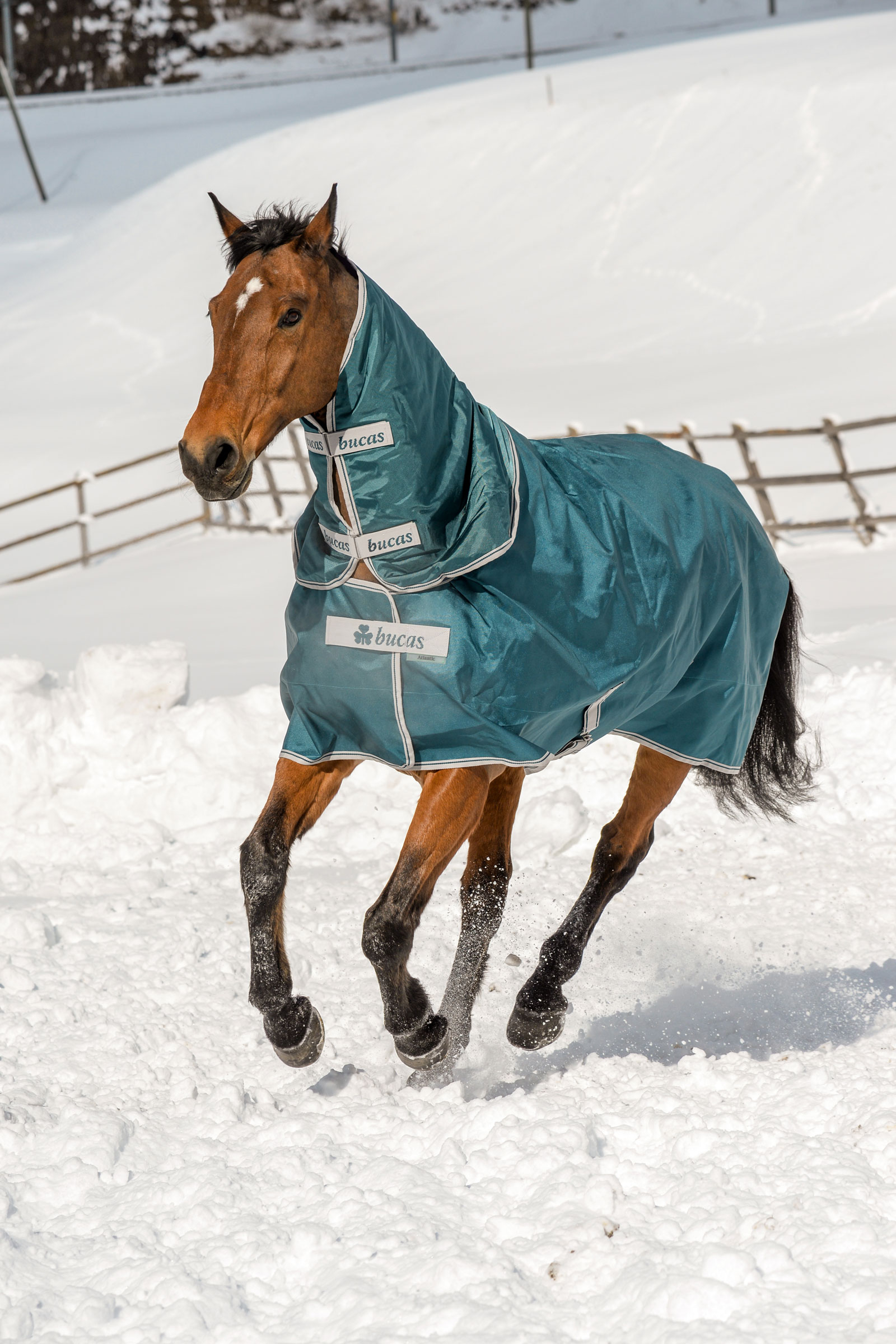 Bucas Atlantic Turnout Rug, 200g