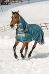 Bucas Atlantic Turnout Rug, 200g