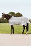 Waldhausen Economic Fly Rug