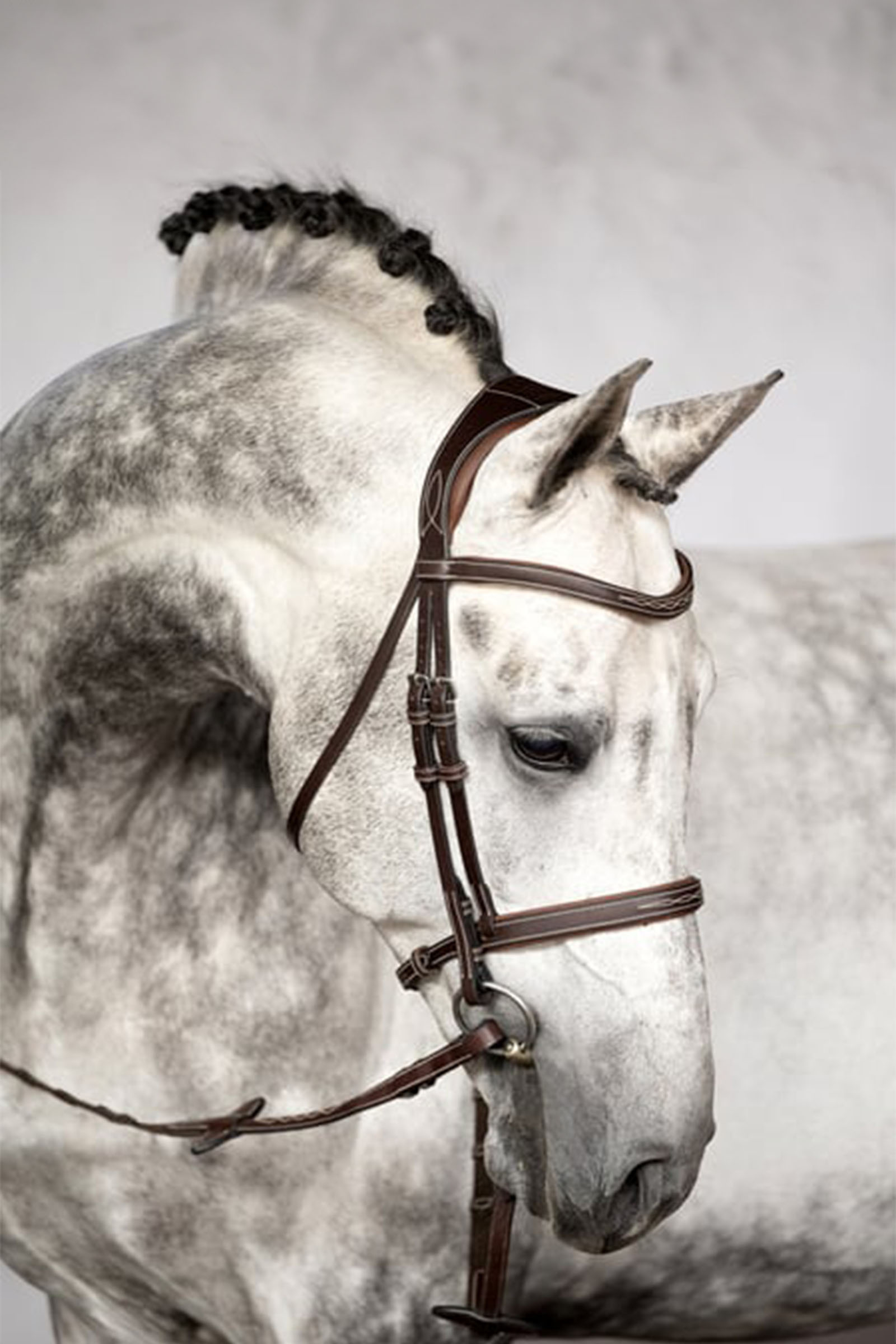 PS of Sweden Bridle Ocala