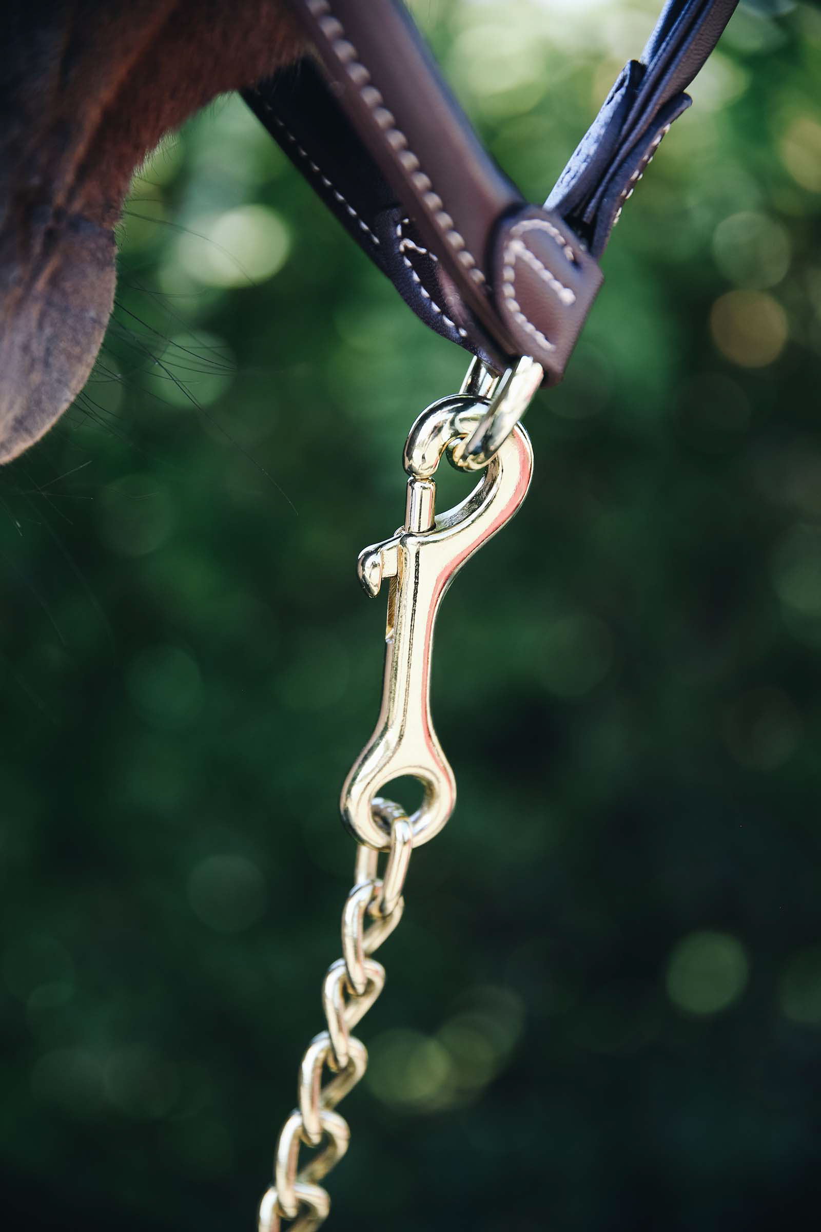 Kentucky Horsewear Stallion Chain 60 Cm