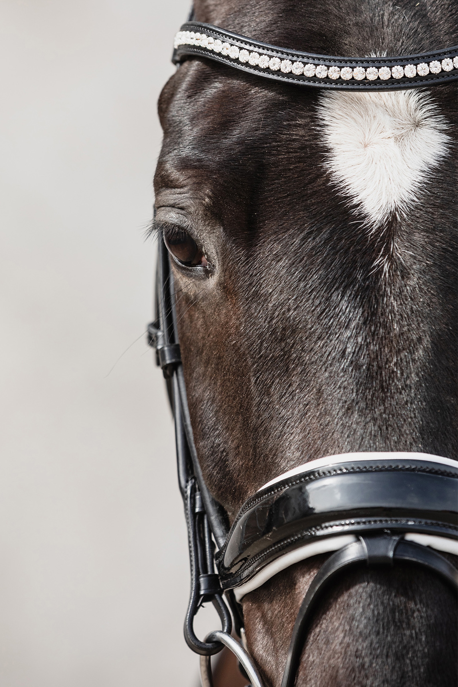 Schockemöhle Sports Malibu Anatomical Dressage Bridle