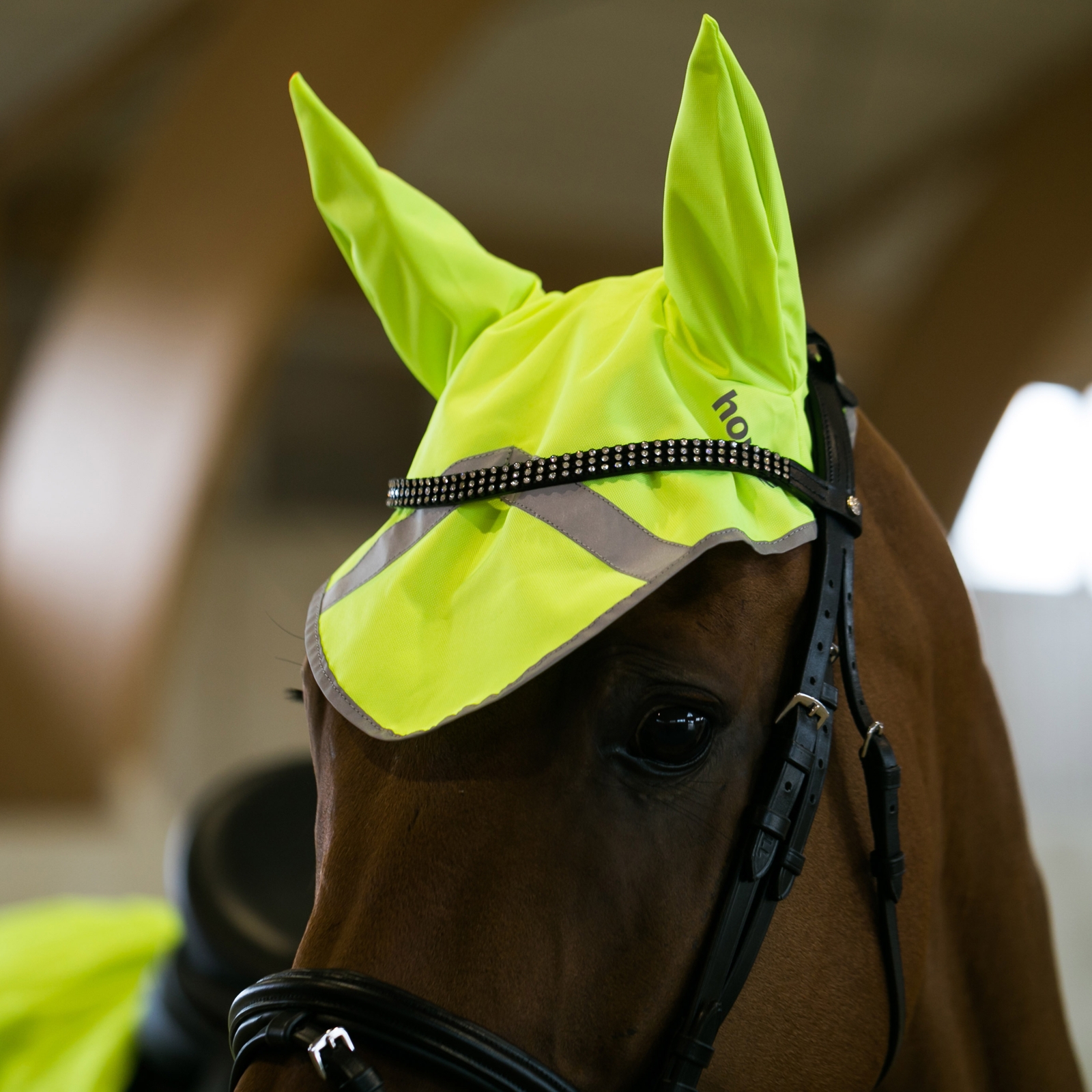Horze Reflective Ear Net