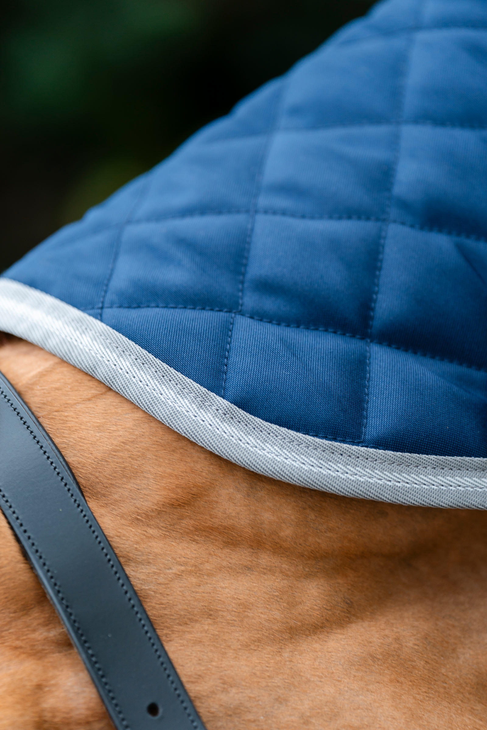 Horseware Amigo Quilted Stable Plus Rug, 200 g