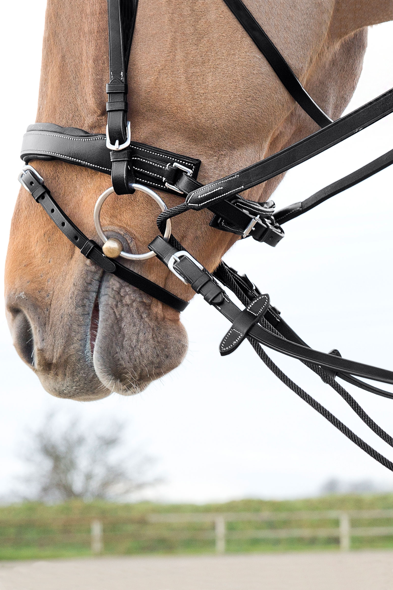 Horze Sparta Nylon/Leather Draw Reins