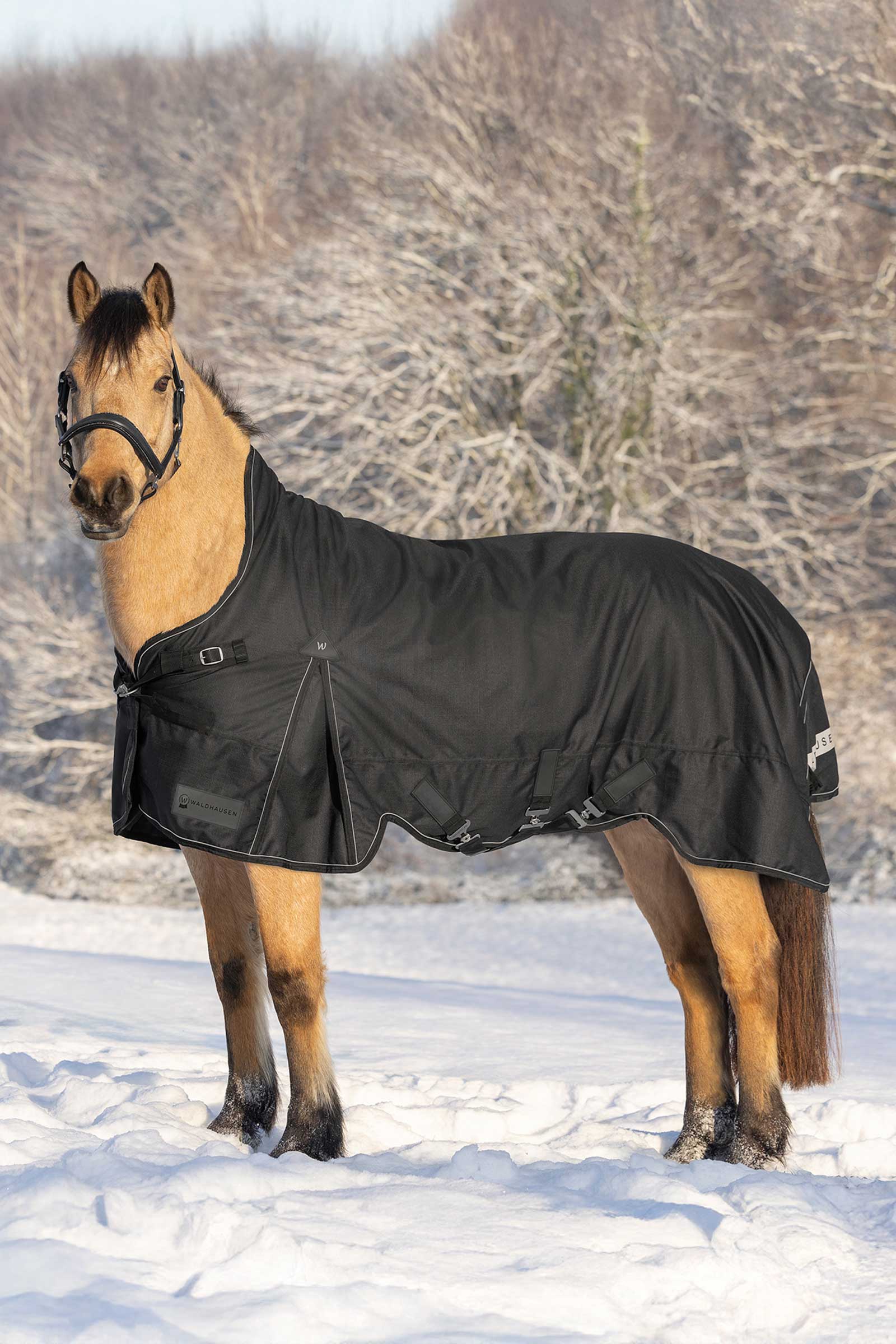 Waldhausen Scandic Turnout Rug With High Neck, 200g