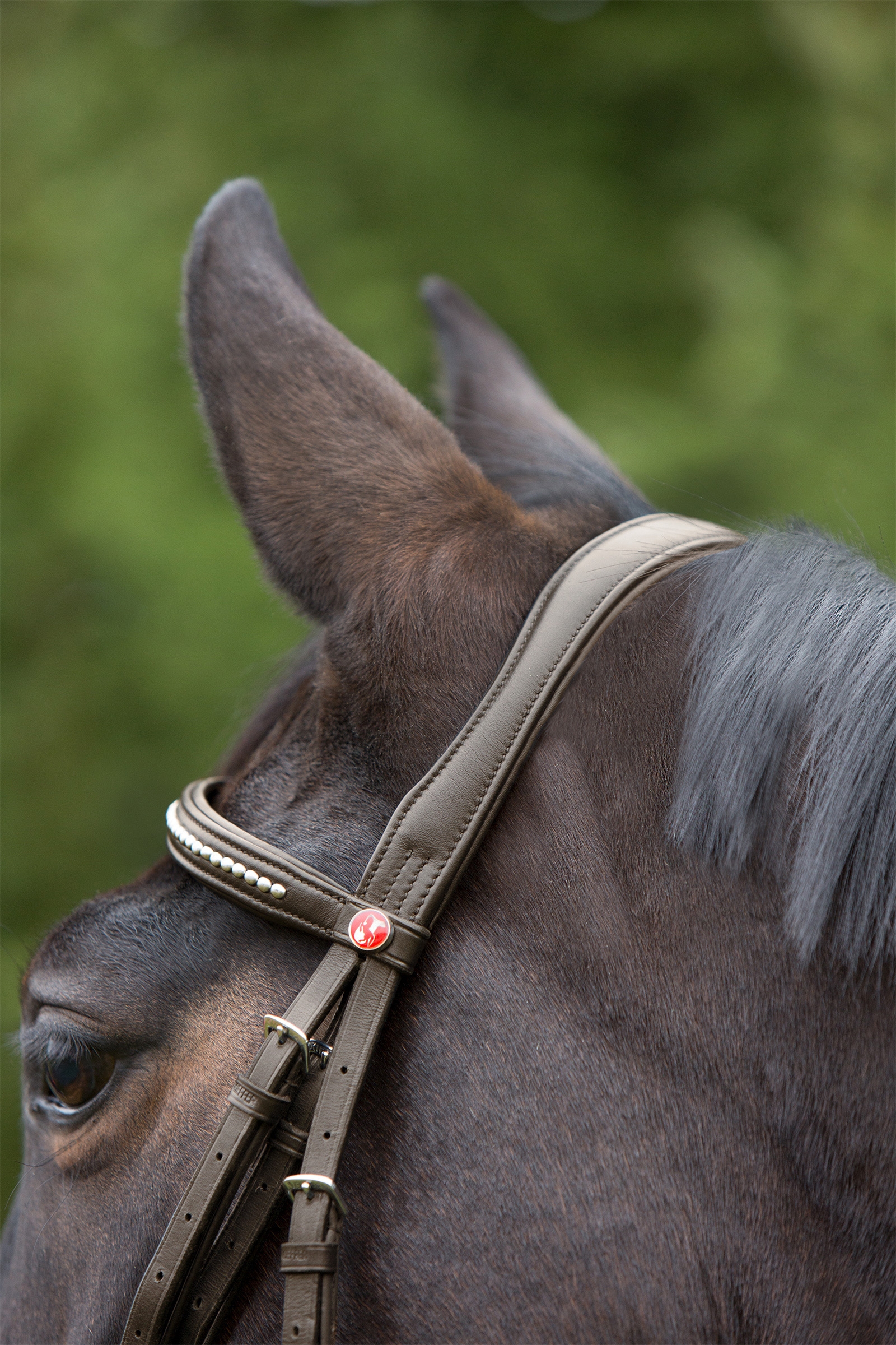 Kieffer Ultrasoft® Bridle