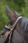 Kieffer Ultrasoft® Bridle
